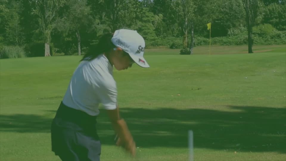 Golf Progress Hub - Image 1