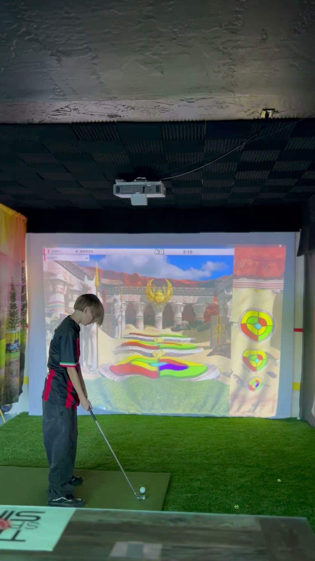 The Sport Sim - Image 2