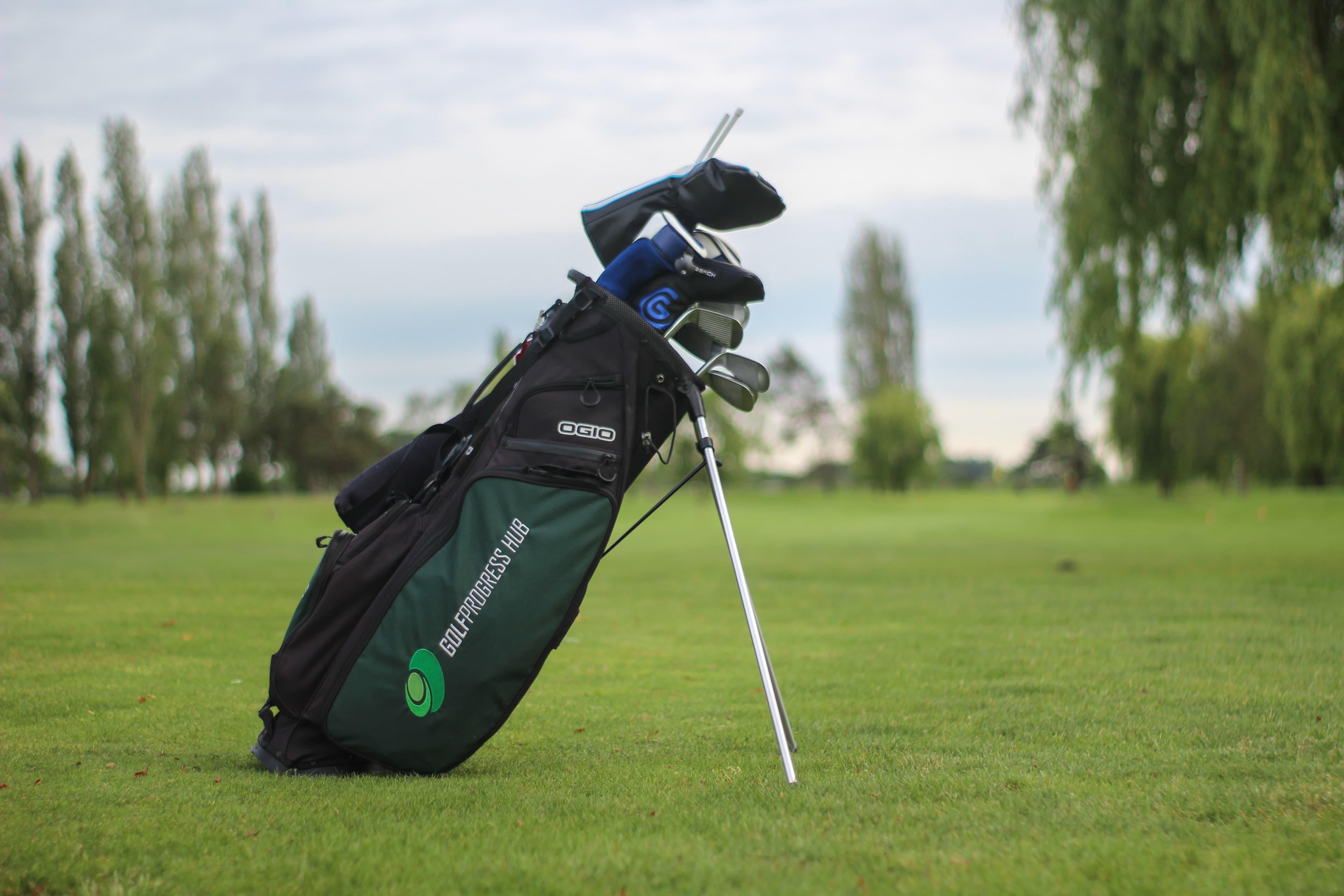 Golf Progress Hub - Image 7