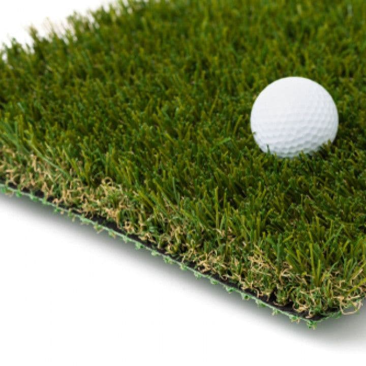 On The Fringe - Image 8