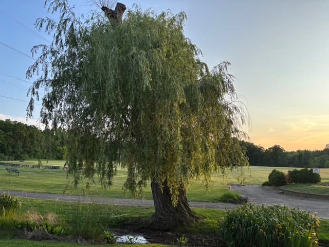 Willow Springs Golf Center - Image 2