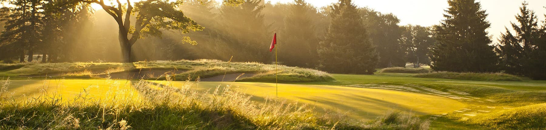 Pine Beach East - Image 1