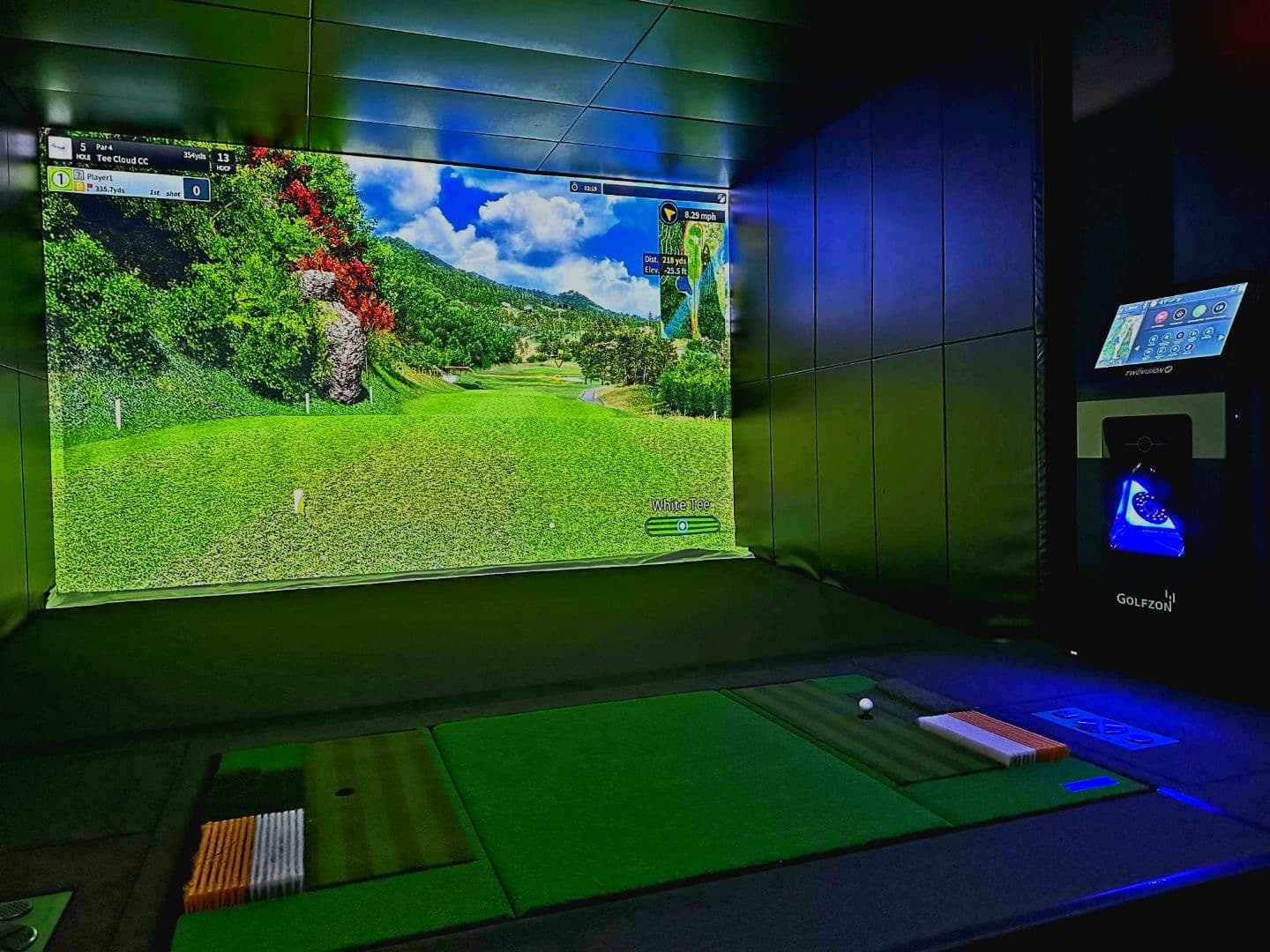 McDuffers Virtual Golf - Image 2
