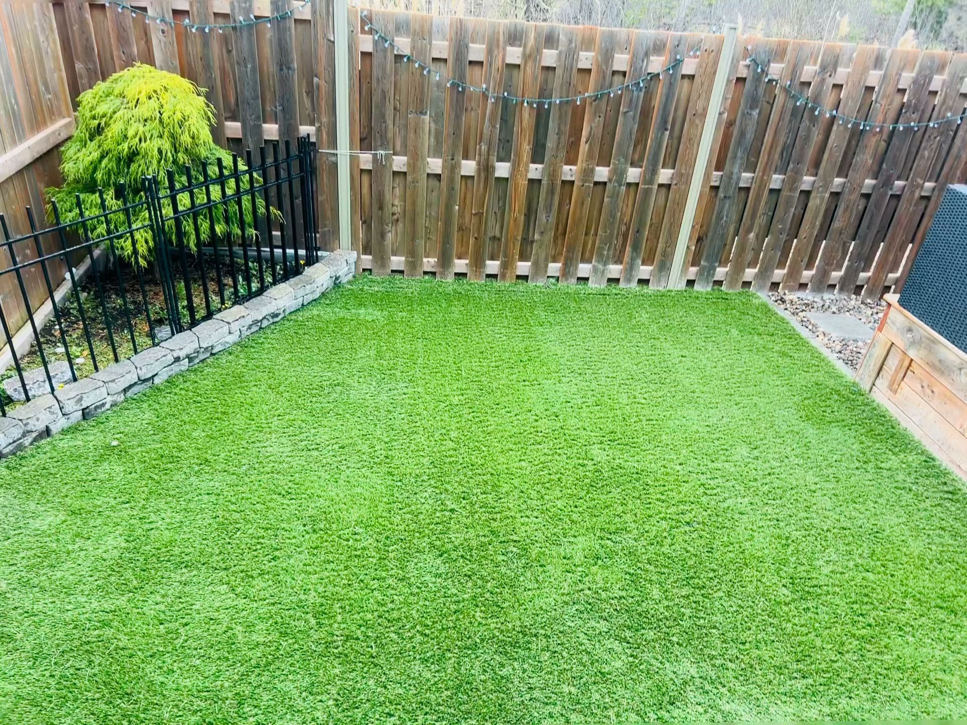 Zilite Solutions - Image 2