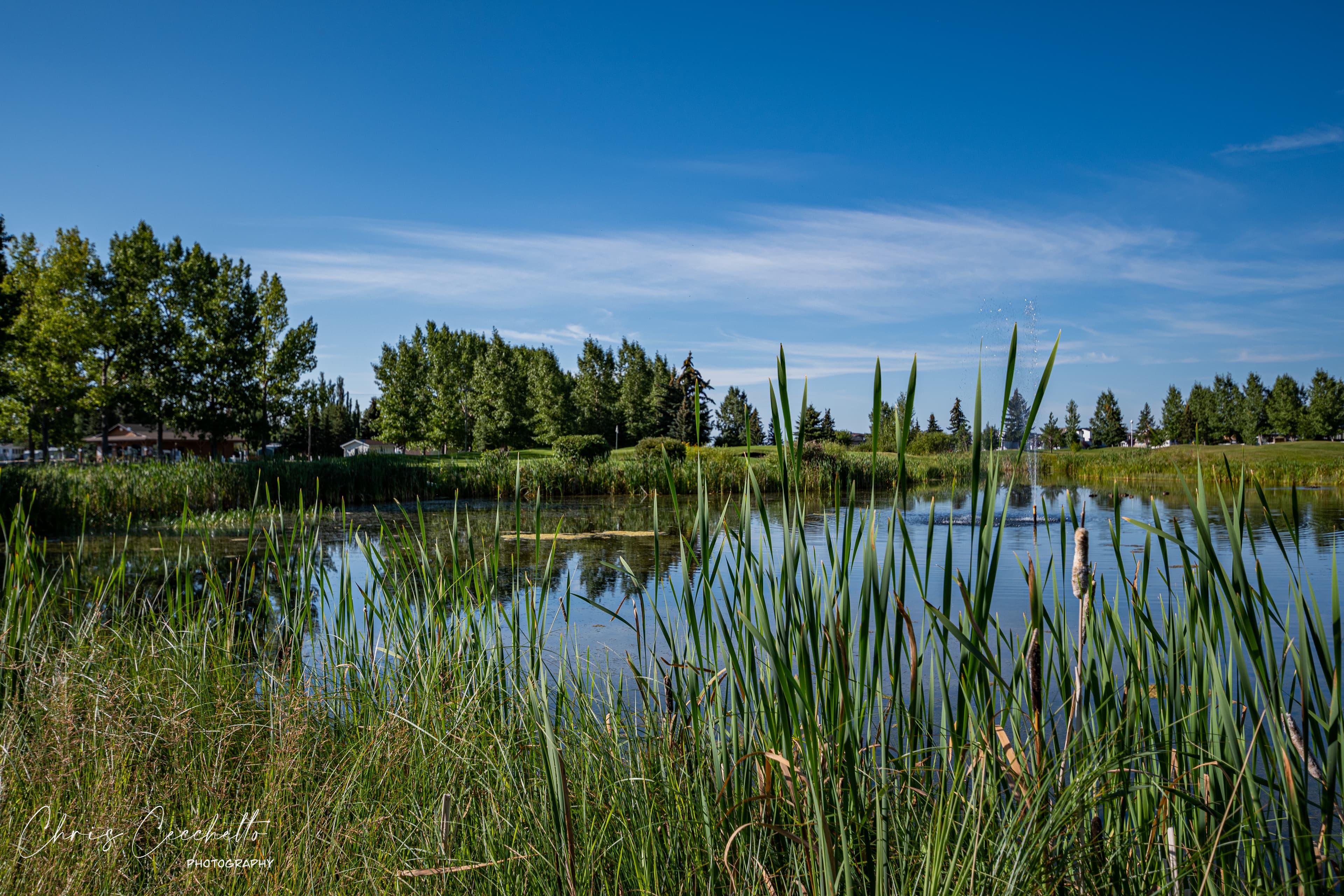 Gleniffer Lake Golf - Image 4