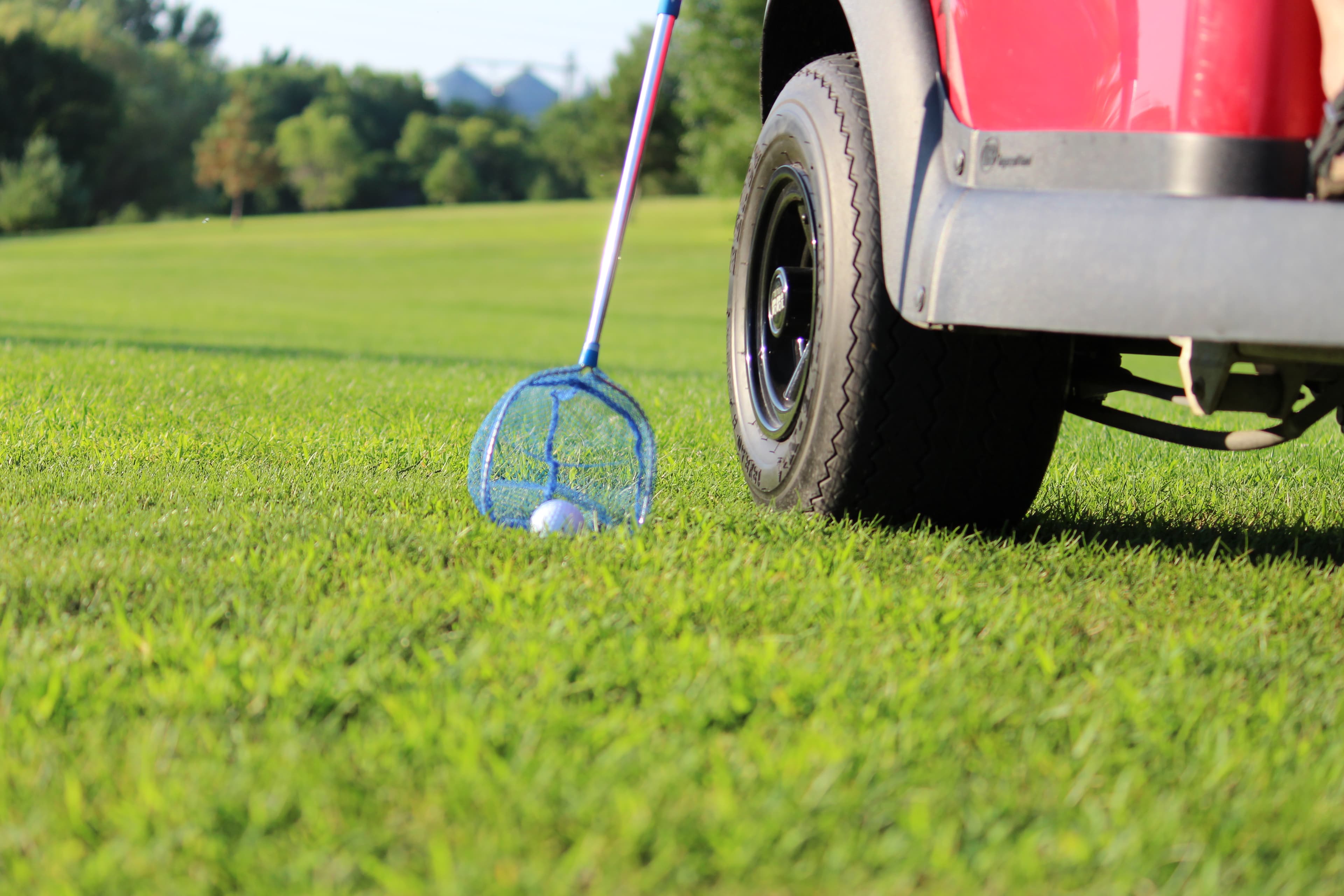 The Golf Net - Image 5