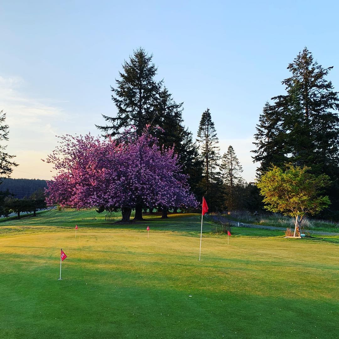Orcas Island Golf Course - Image 2
