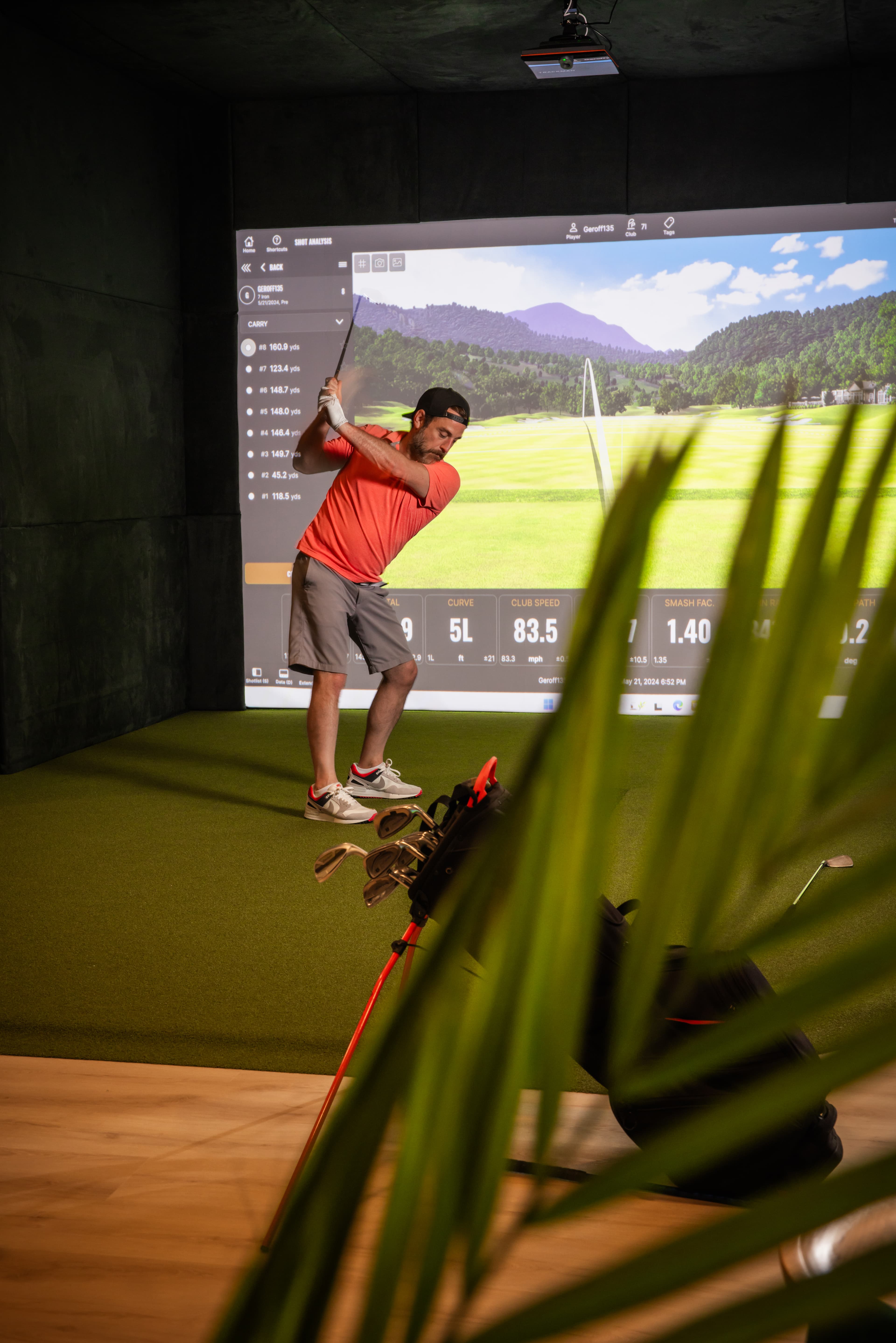 Modern Eagle - Image 2