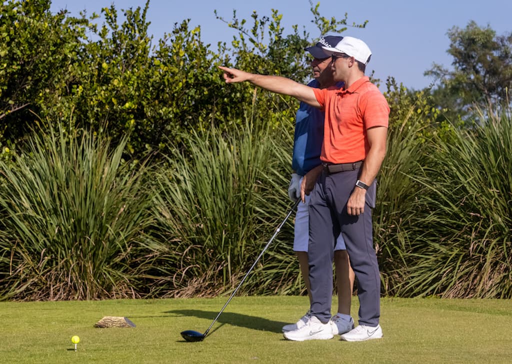 SwingSimple Golf - Image 2