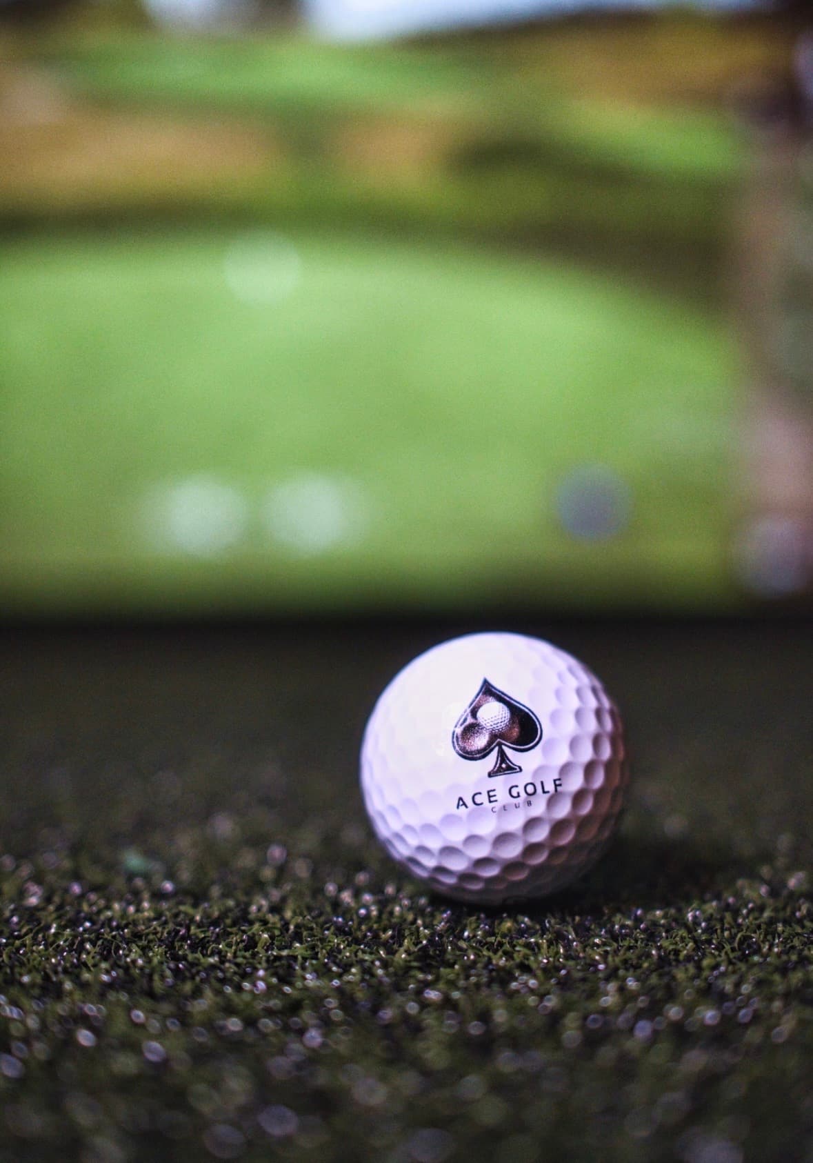 Ace Golf Club - Image 9