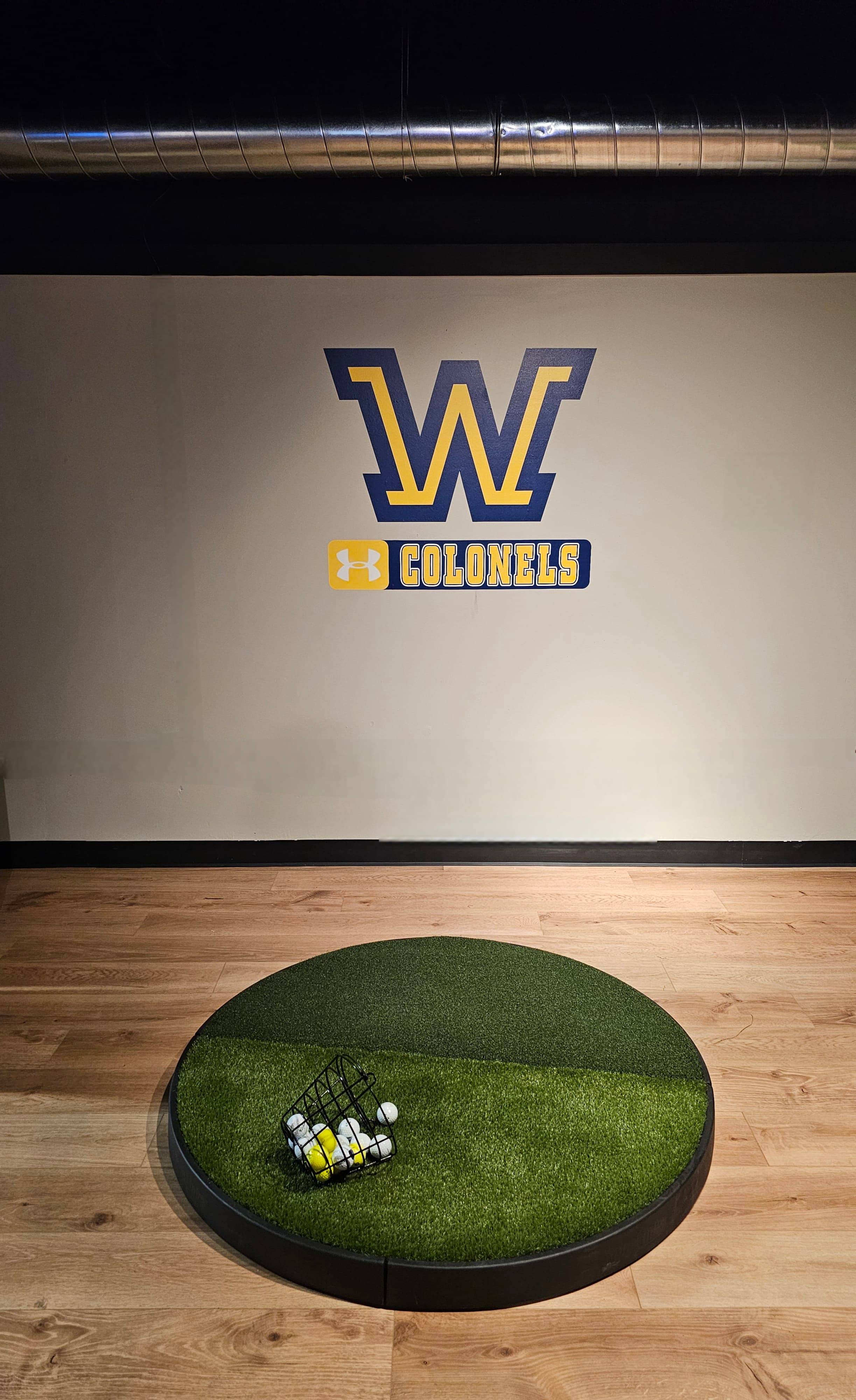 Virtual Fairways - Image 1