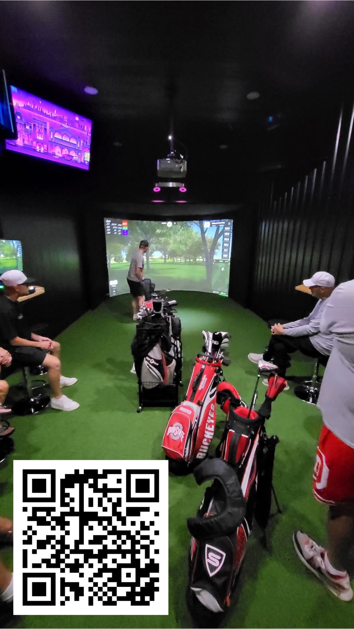 Players Indoor Golf | Indian Lake, Ohio - Image 4