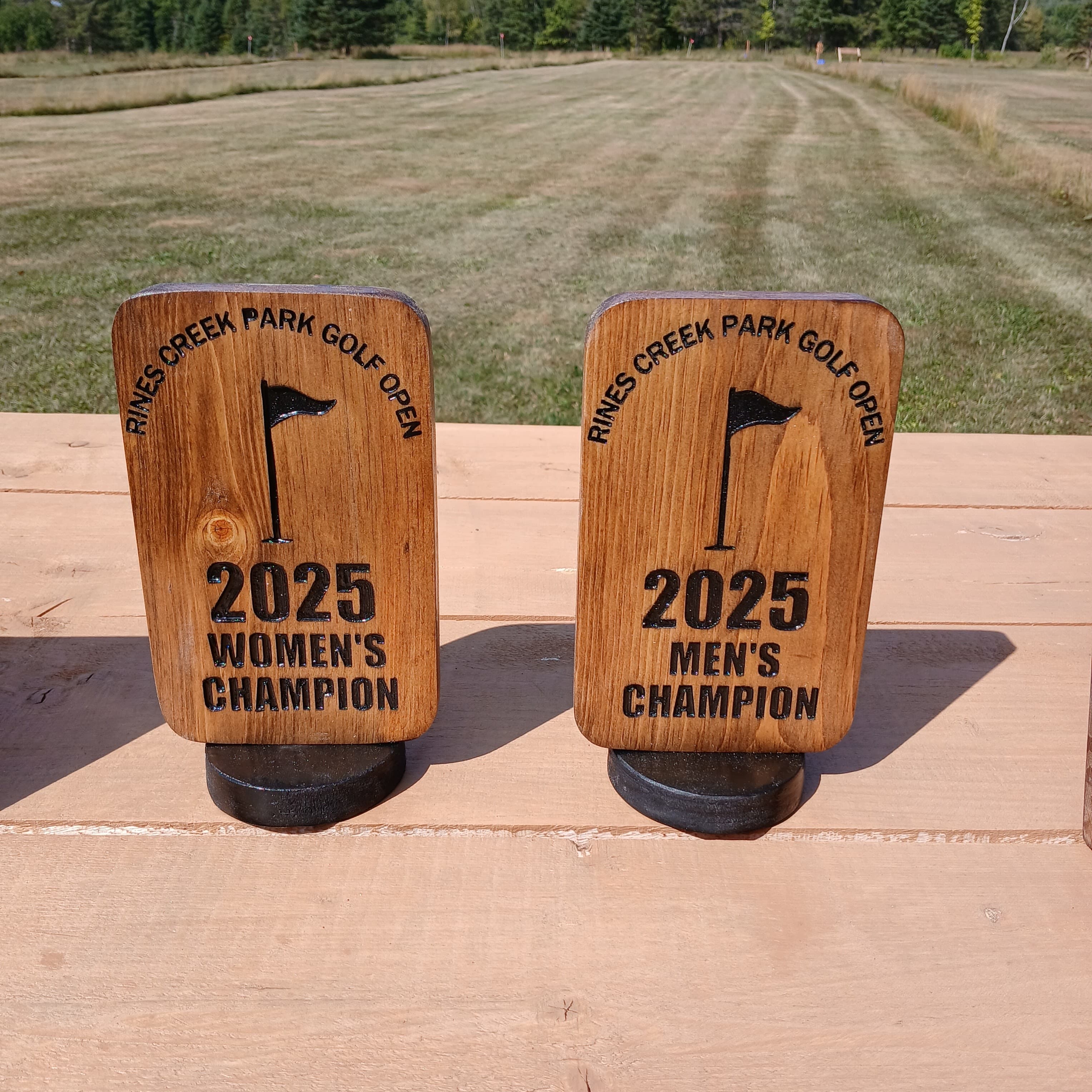 Rines Creek Park Golf - Image 7