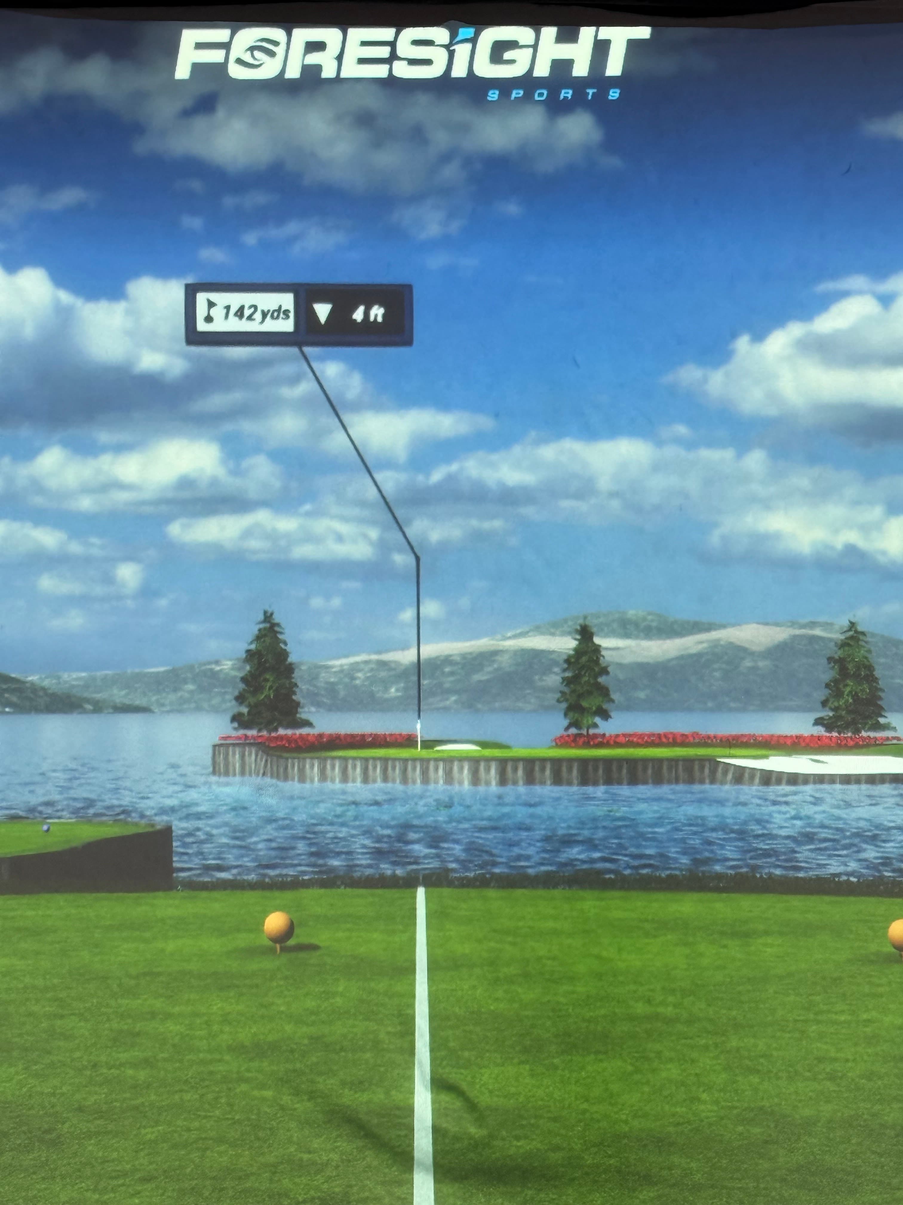 The Golf Place - Image 4