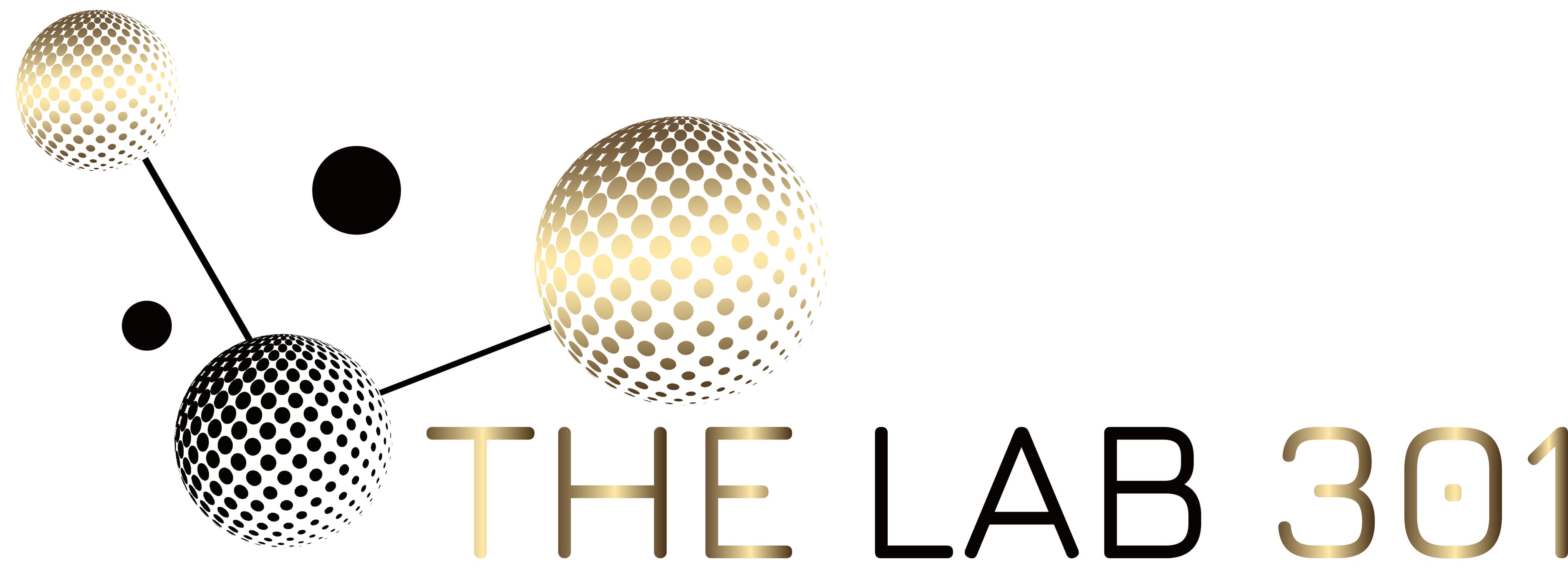 The Lab 301 - Image 10