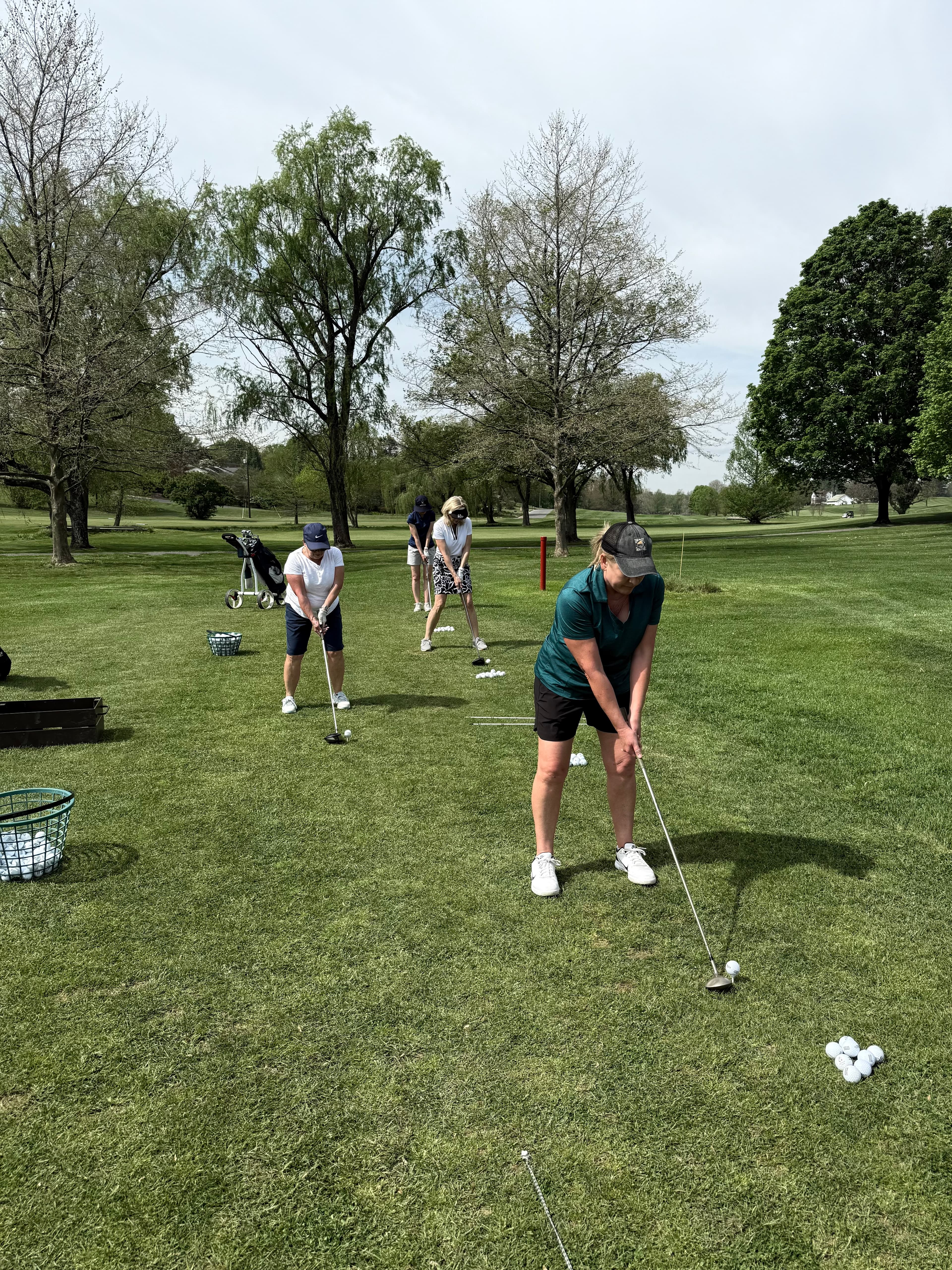 Kandi Comer Golf - Image 2