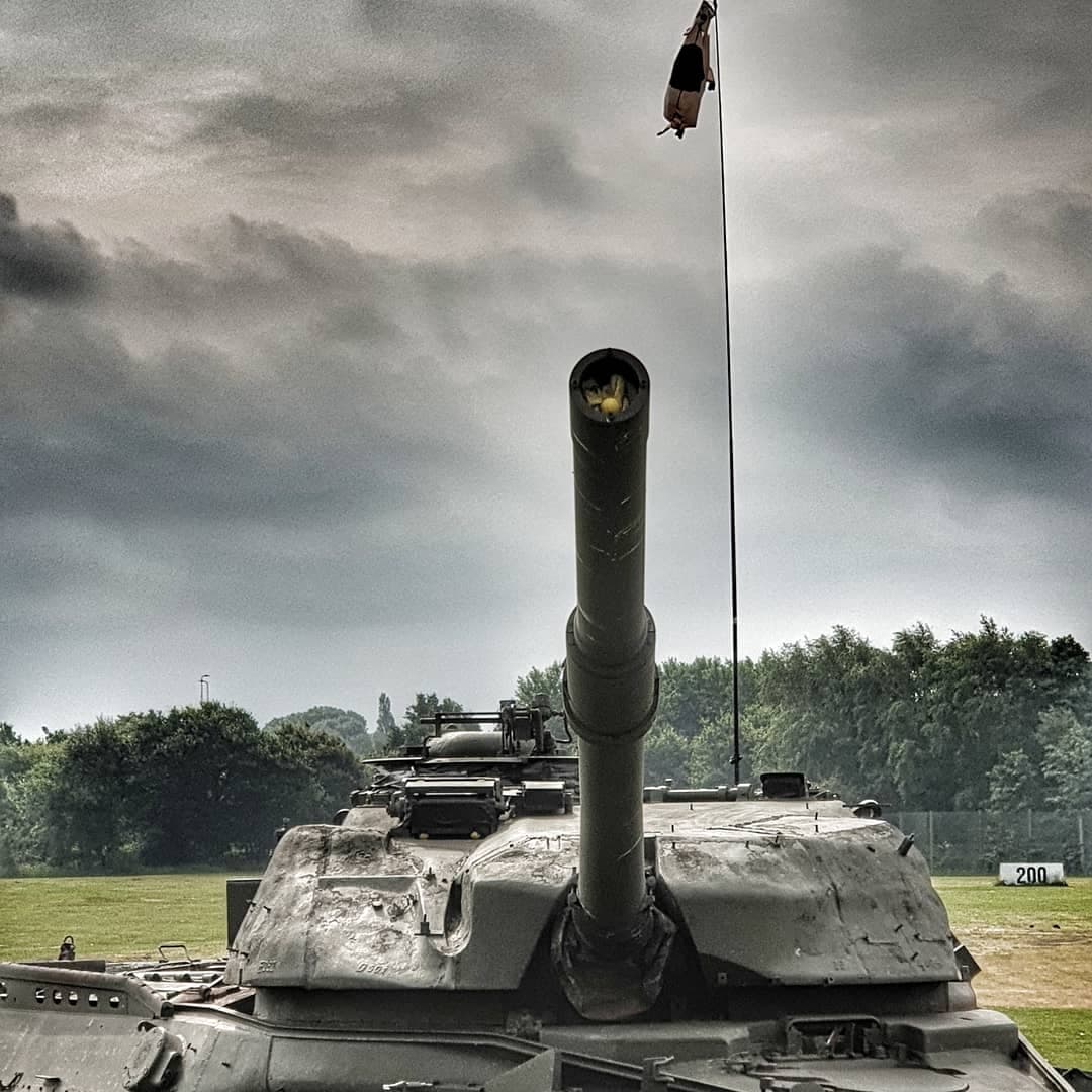 Boomers and Swingers Ball Whacking Field - Image 9