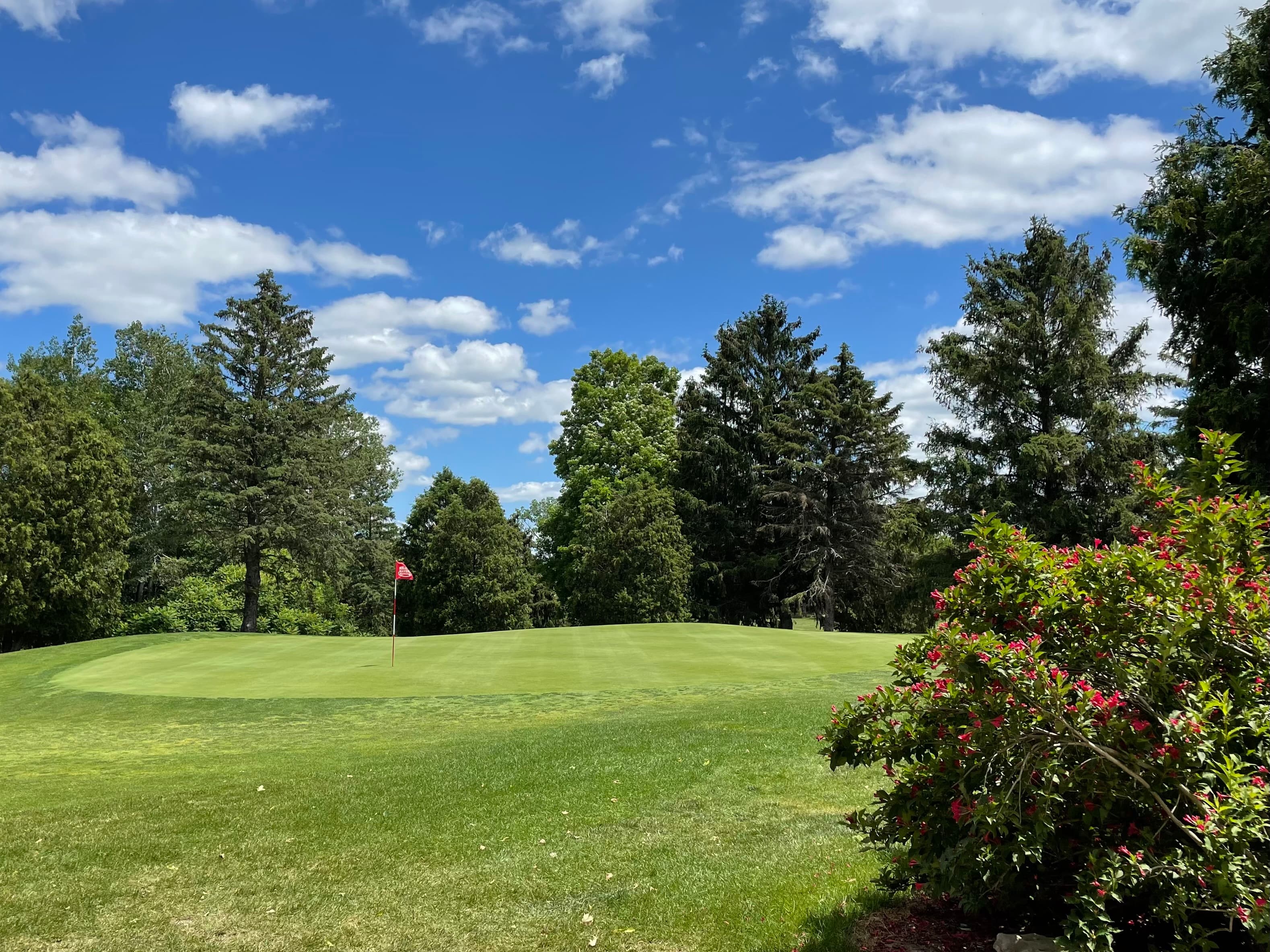 Hilly Haven Golf Course - Image 4