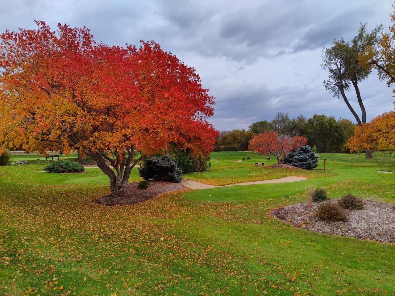 Pacific Springs Golf Course - Image 9