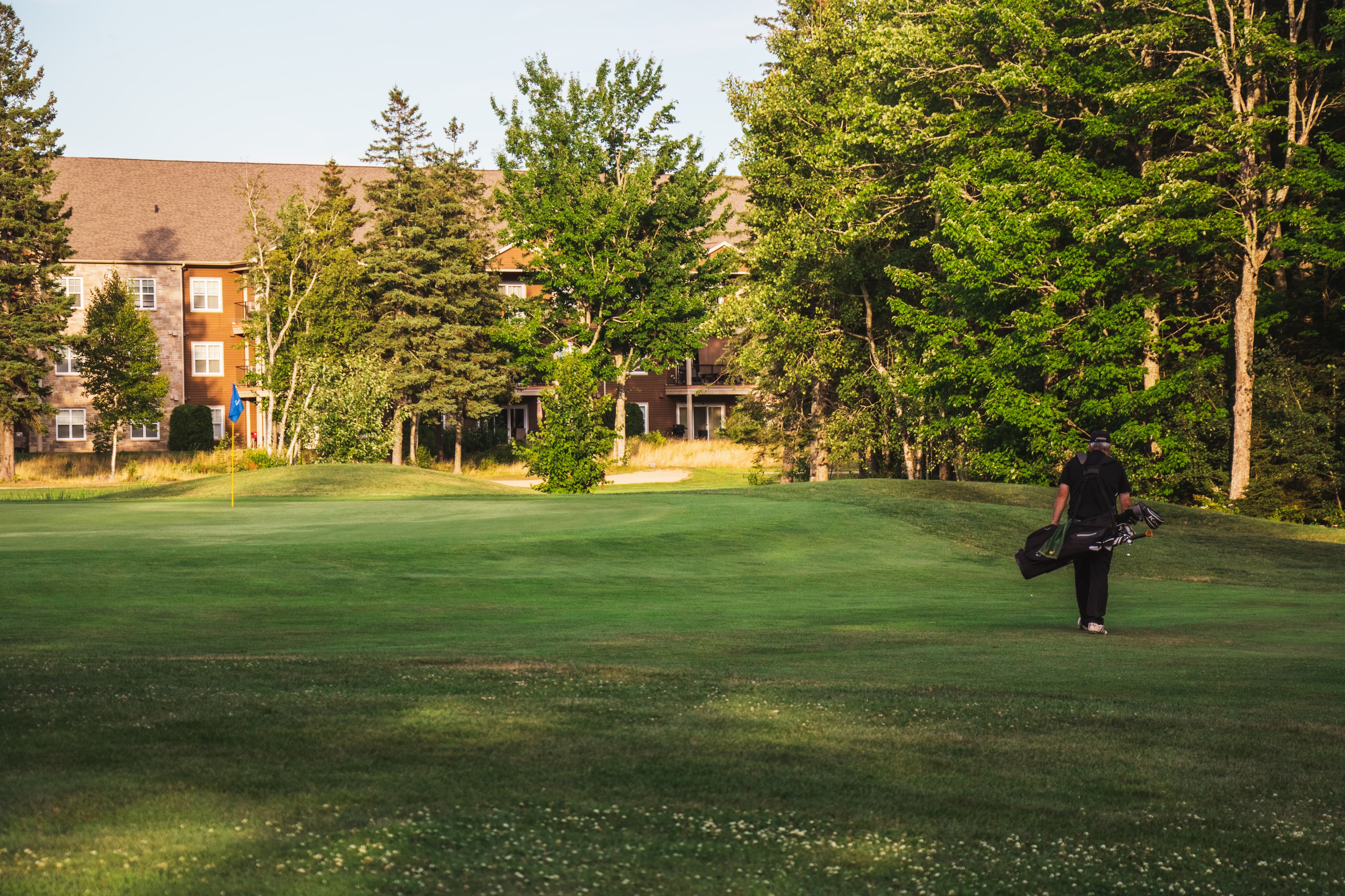 Mountain Woods - Image 9