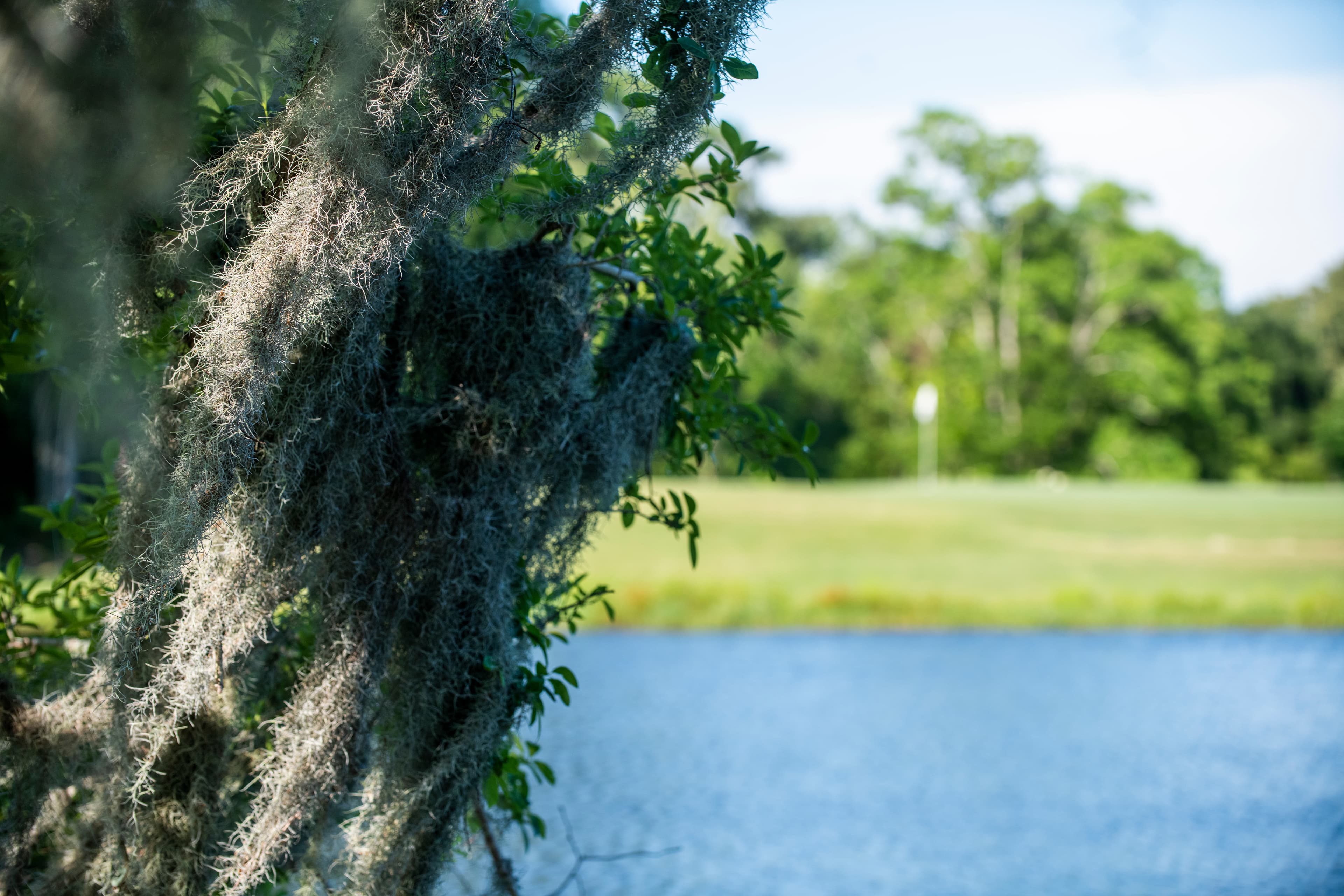 Sunkist Country Club - Image 4