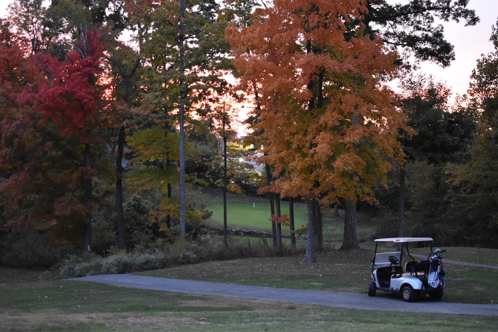 World of Golf - Image 3