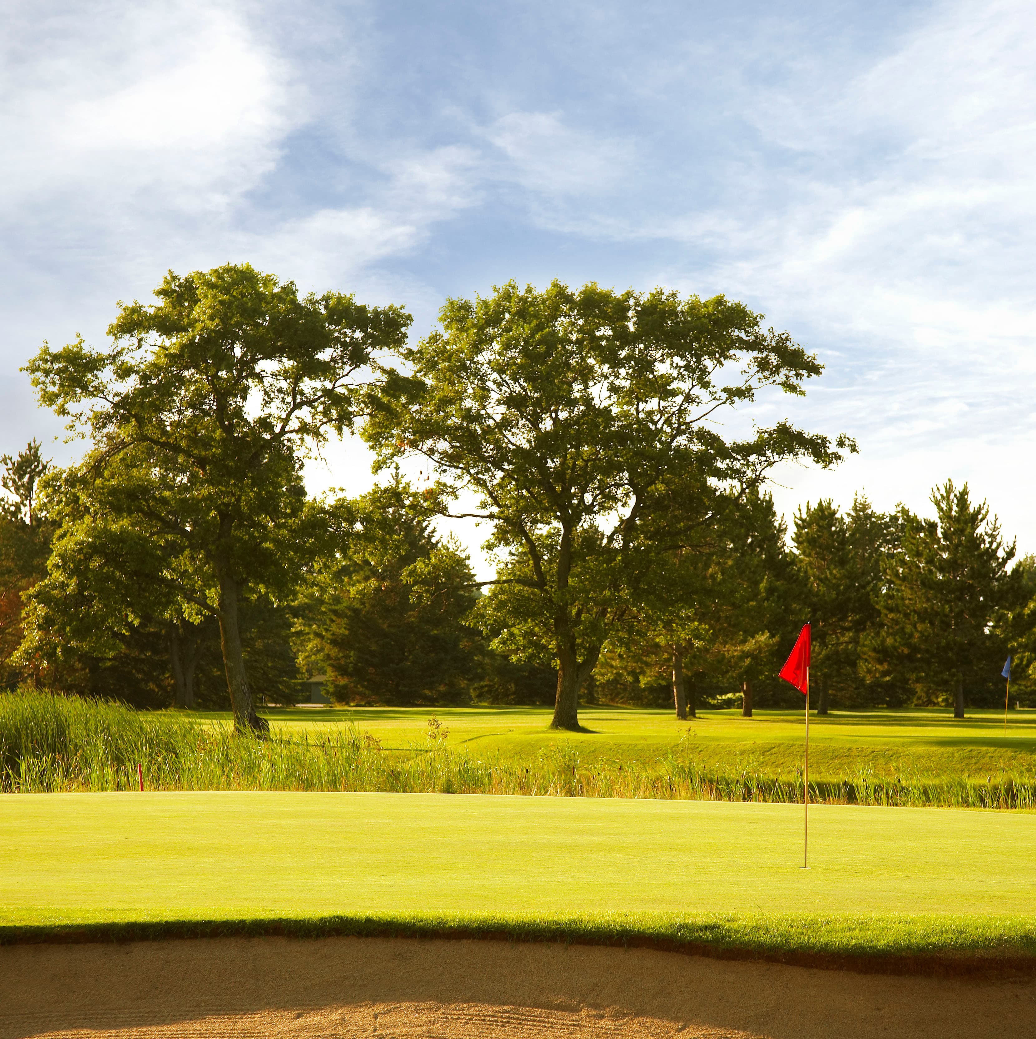 Pine Beach East - Image 9