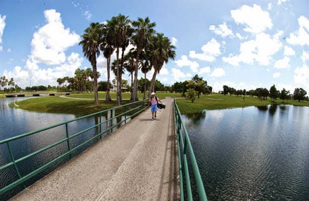 Palmetto Golf Course - Image 1