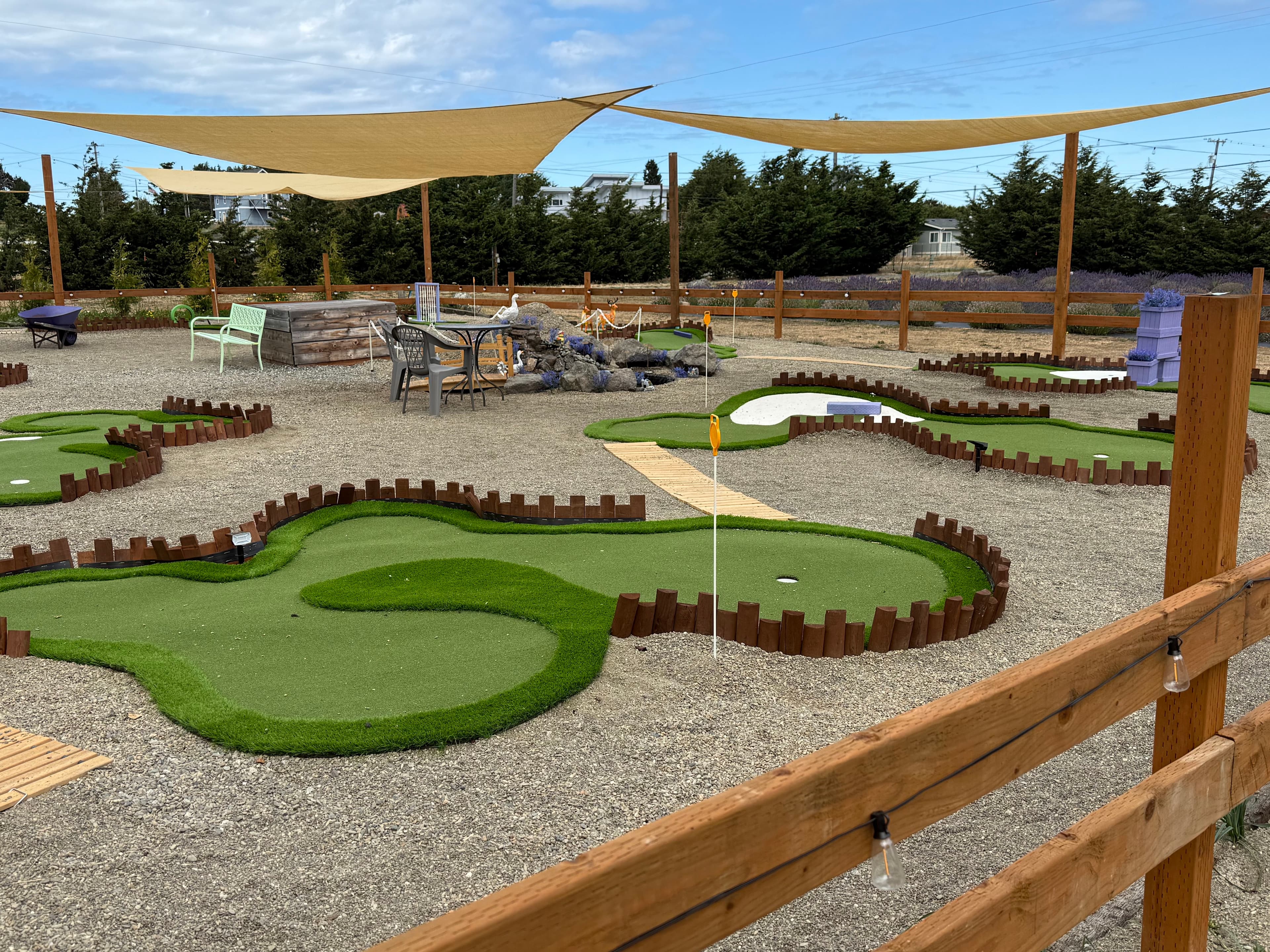 Lit Lavender - Image 3