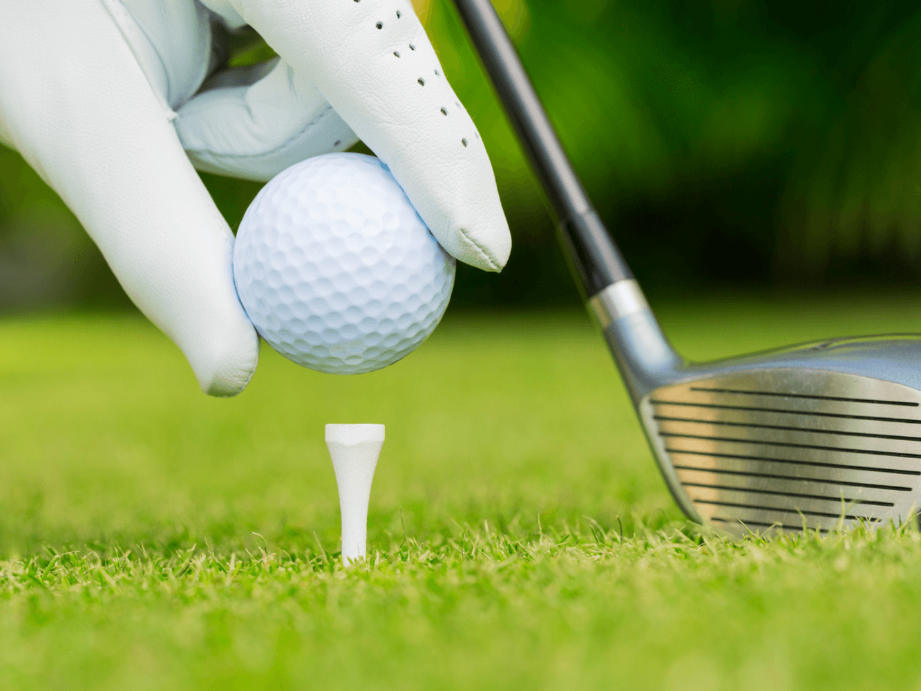 Golf Oasis CT - Image 3