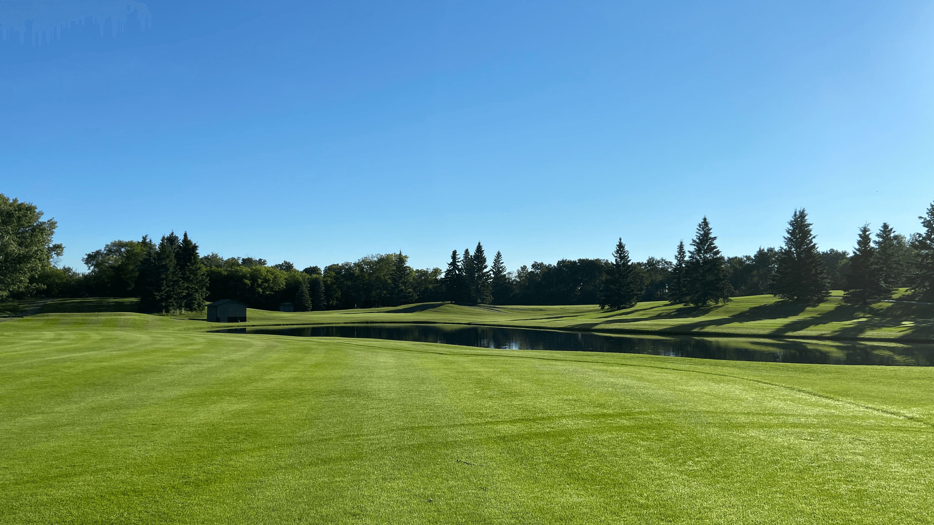 Darcy's Golf Shop Ltd. - Image 9