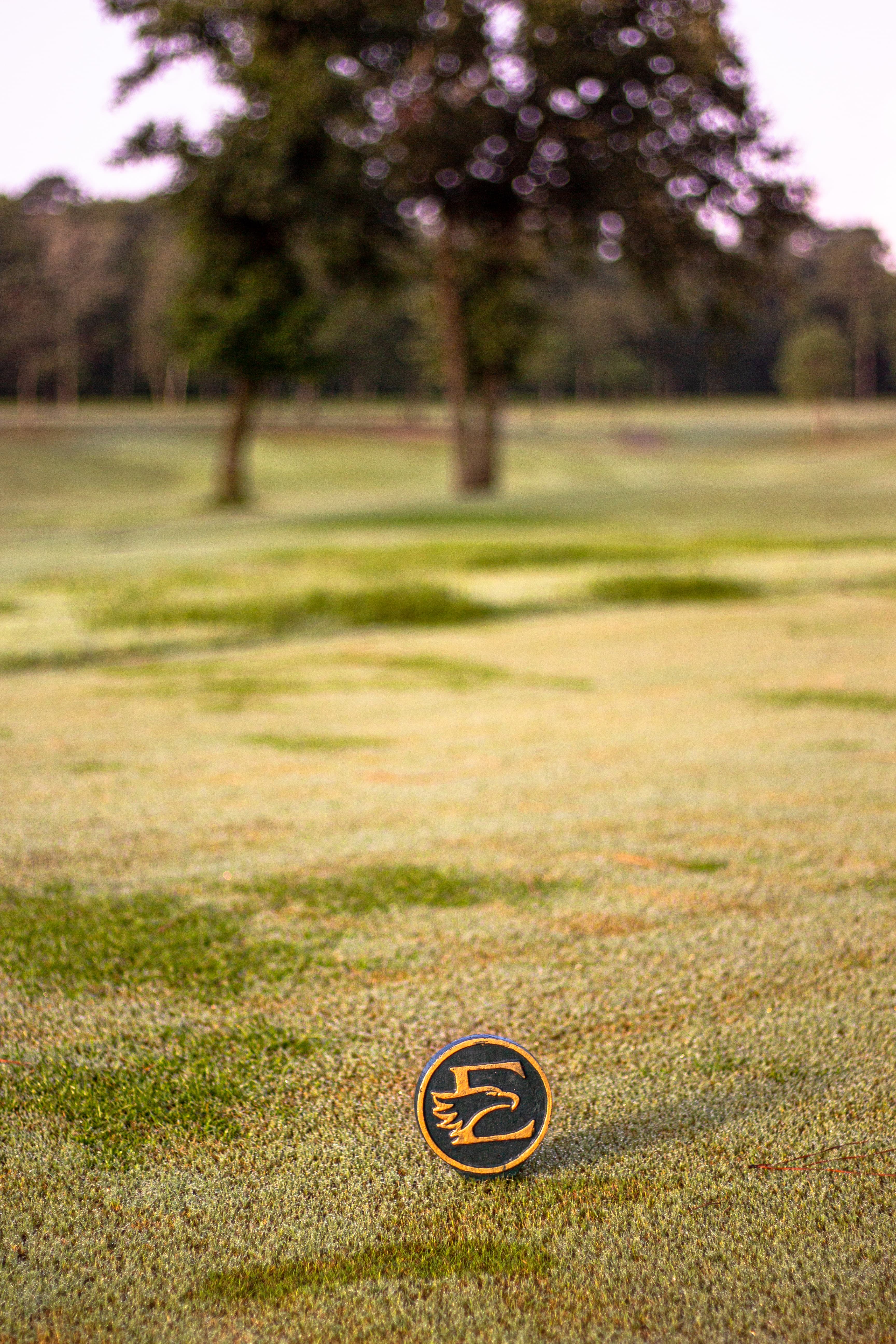 Eagle Pointe Golf Club - Image 5