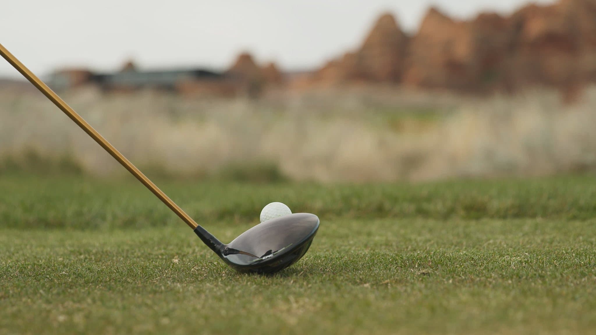 The Back Nine Golf | American Fork, UT - Image 10