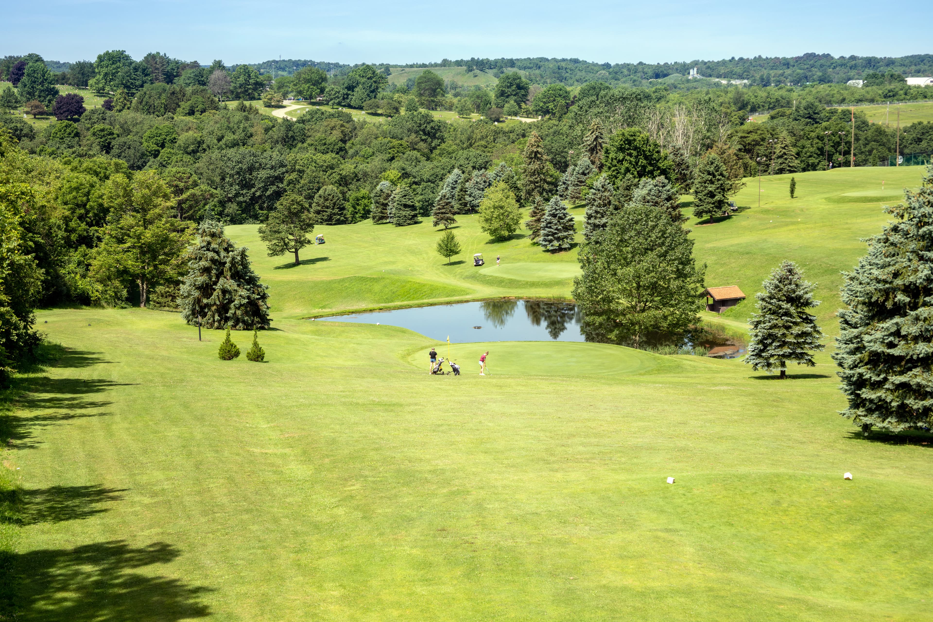 Scallys Par 3 - Image 8