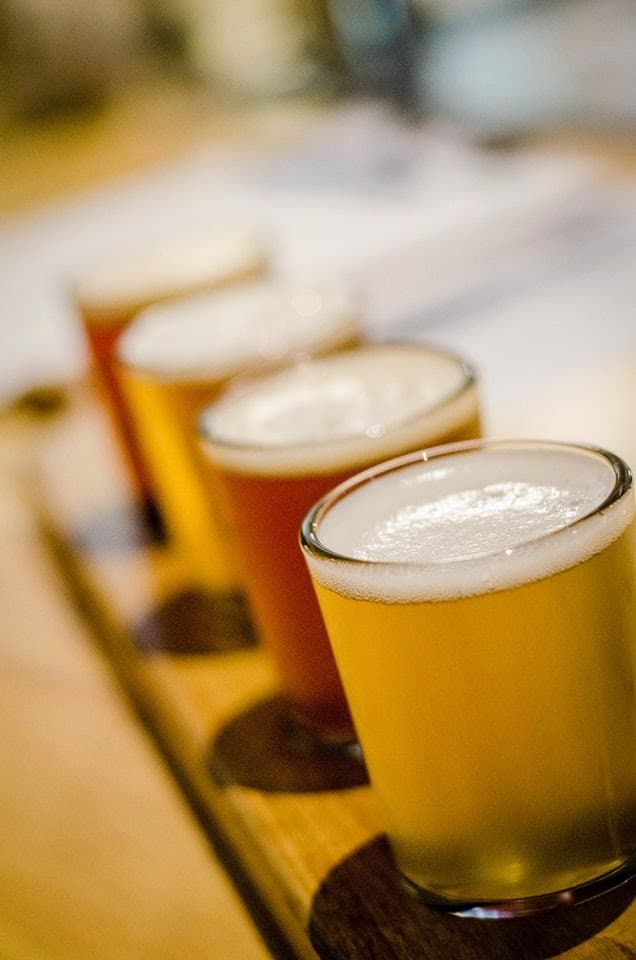 Flytrap Brewing - Image 10