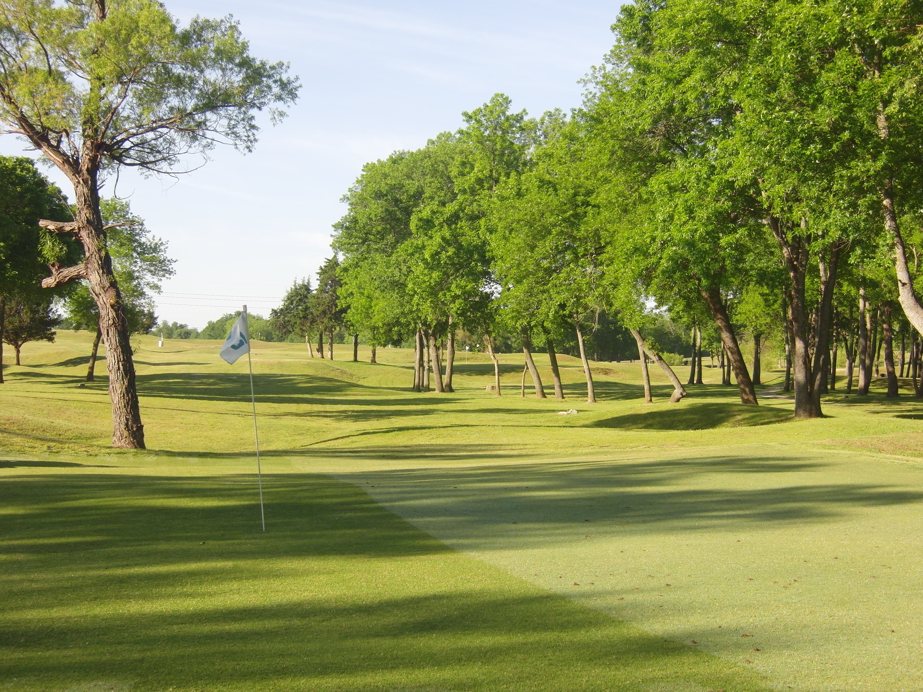 Lit'l Links Golf Club - Image 1