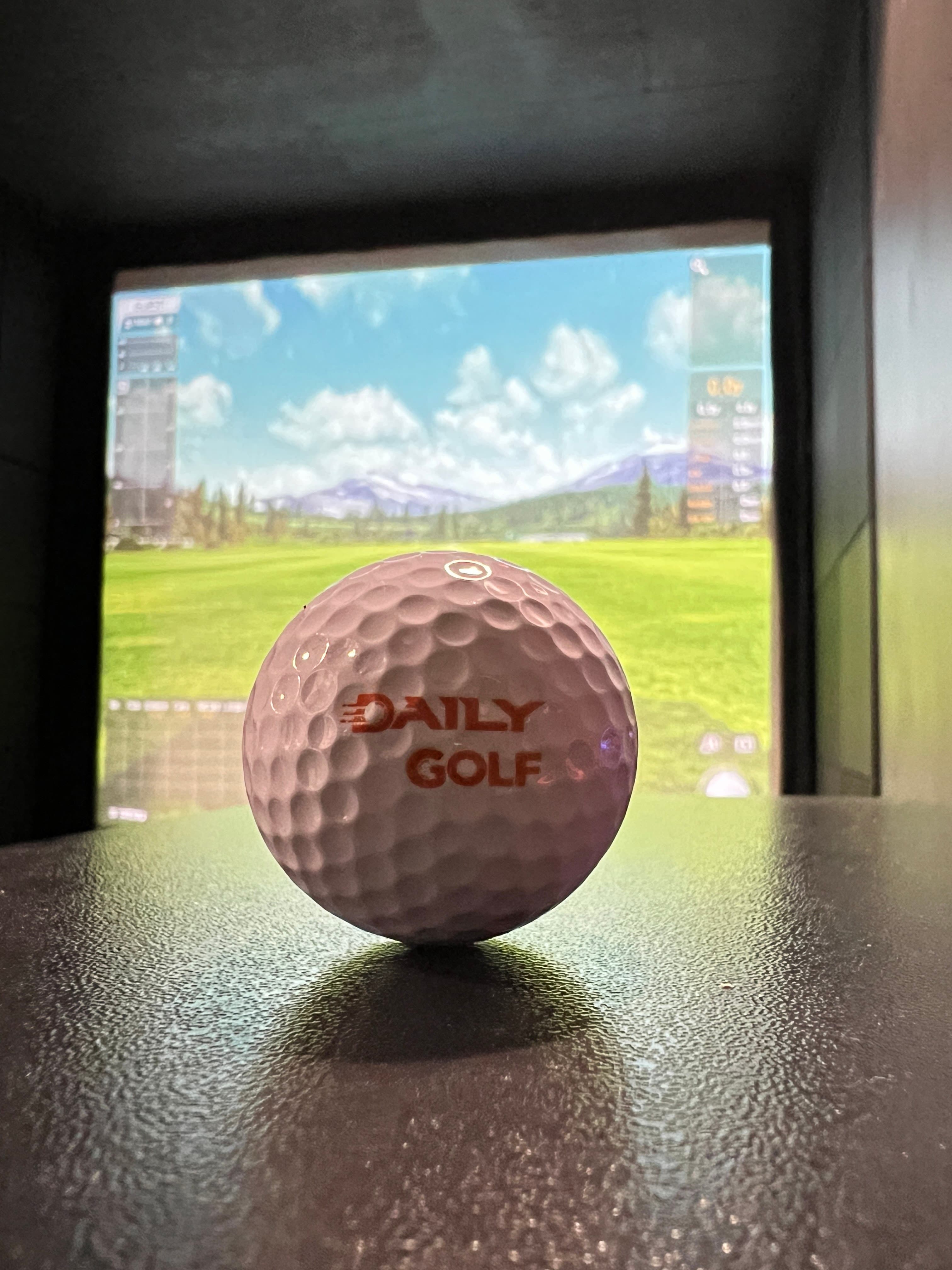 Daily Indoor Golf - Image 2