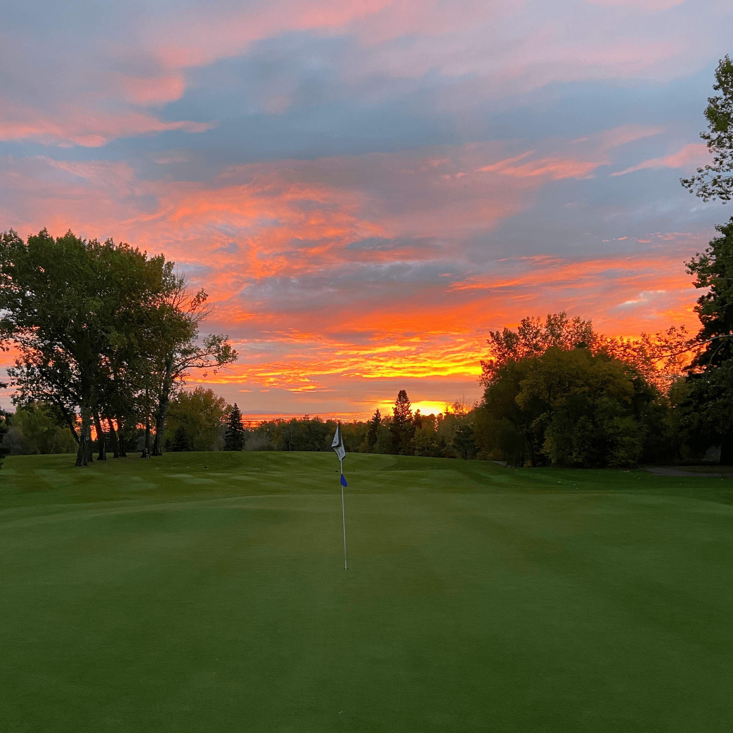 Darcy's Golf Shop Ltd. - Image 2