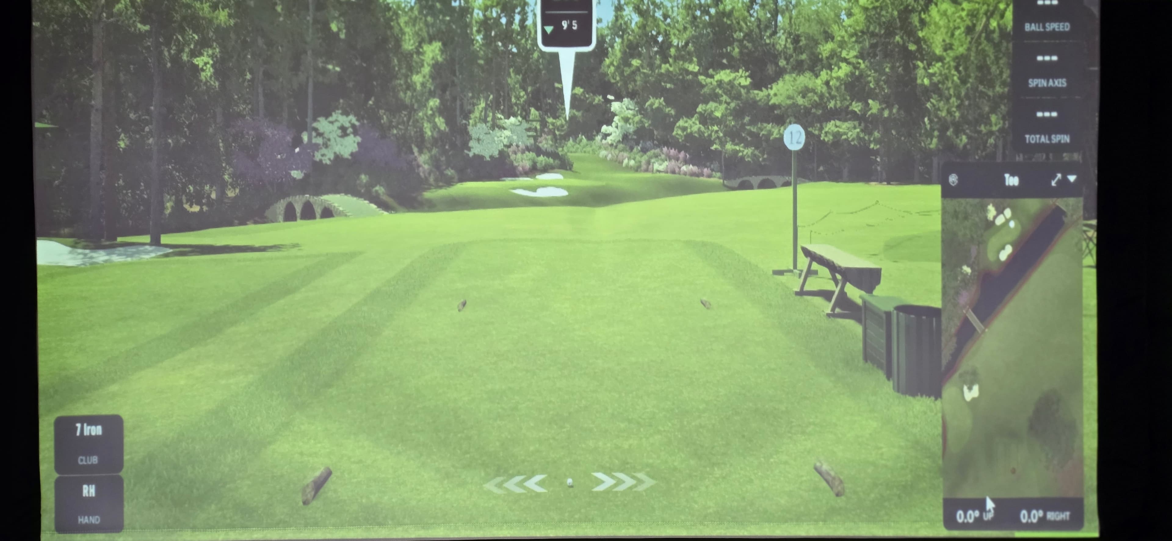 Birdies... Where Are You - Image 7