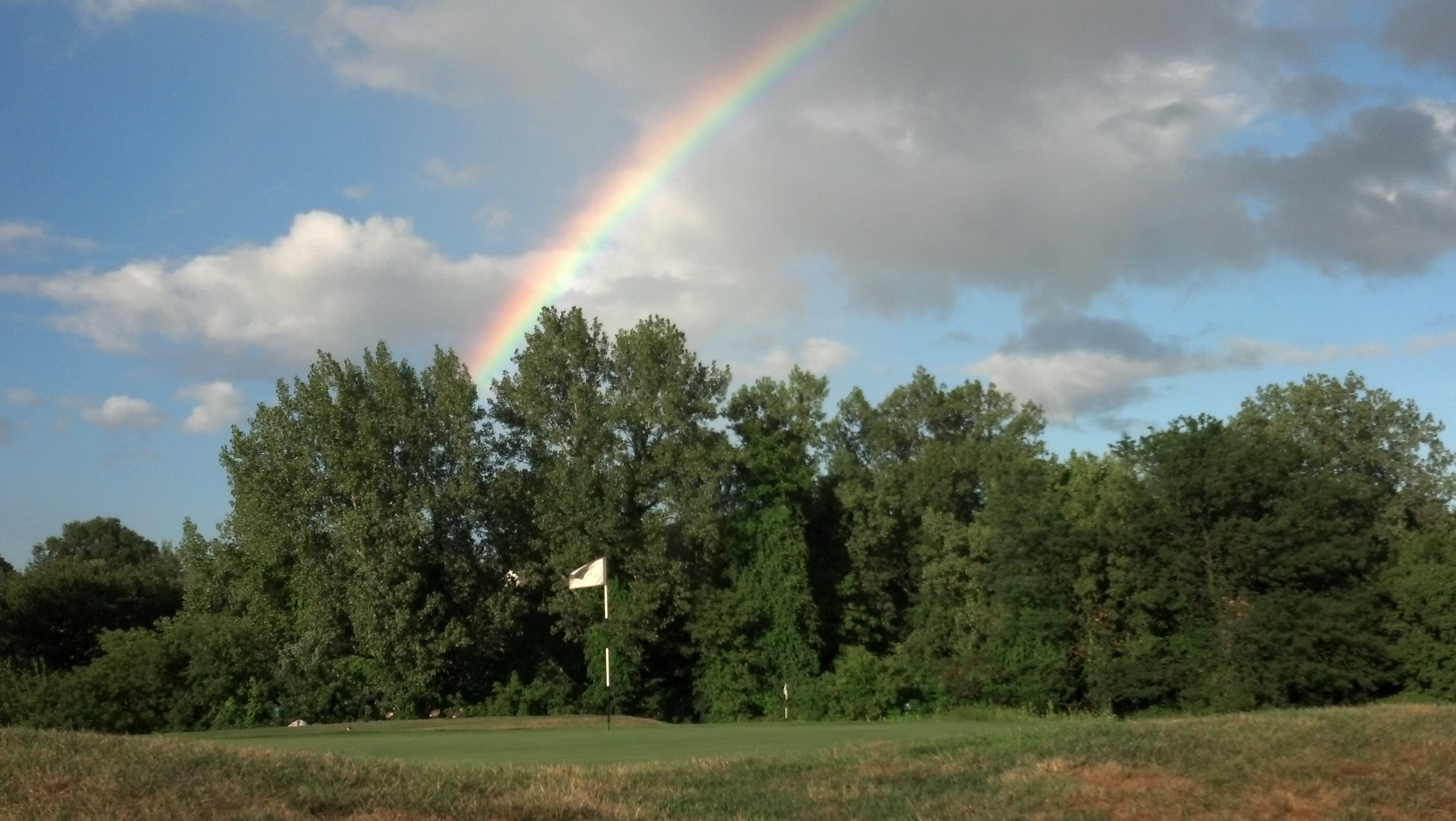 Button Hole - Image 7