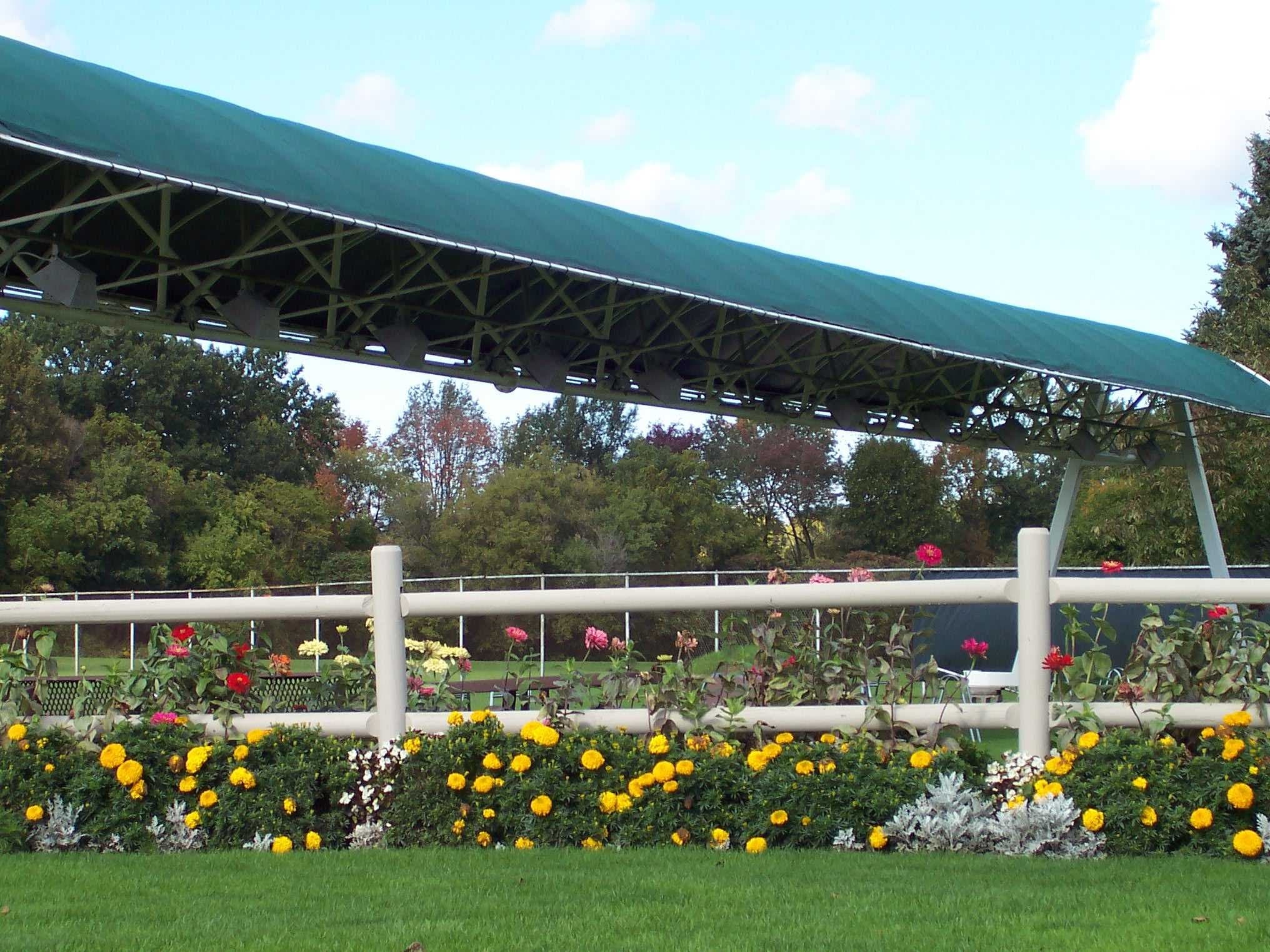 Big Oak Driving Range & Golf Shop Inc - Image 3