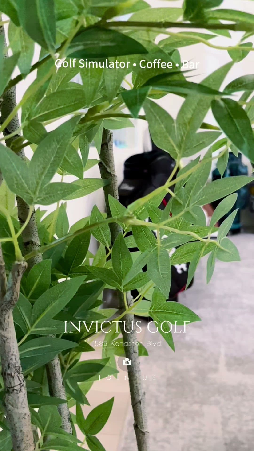 Invictus Golf - Image 6