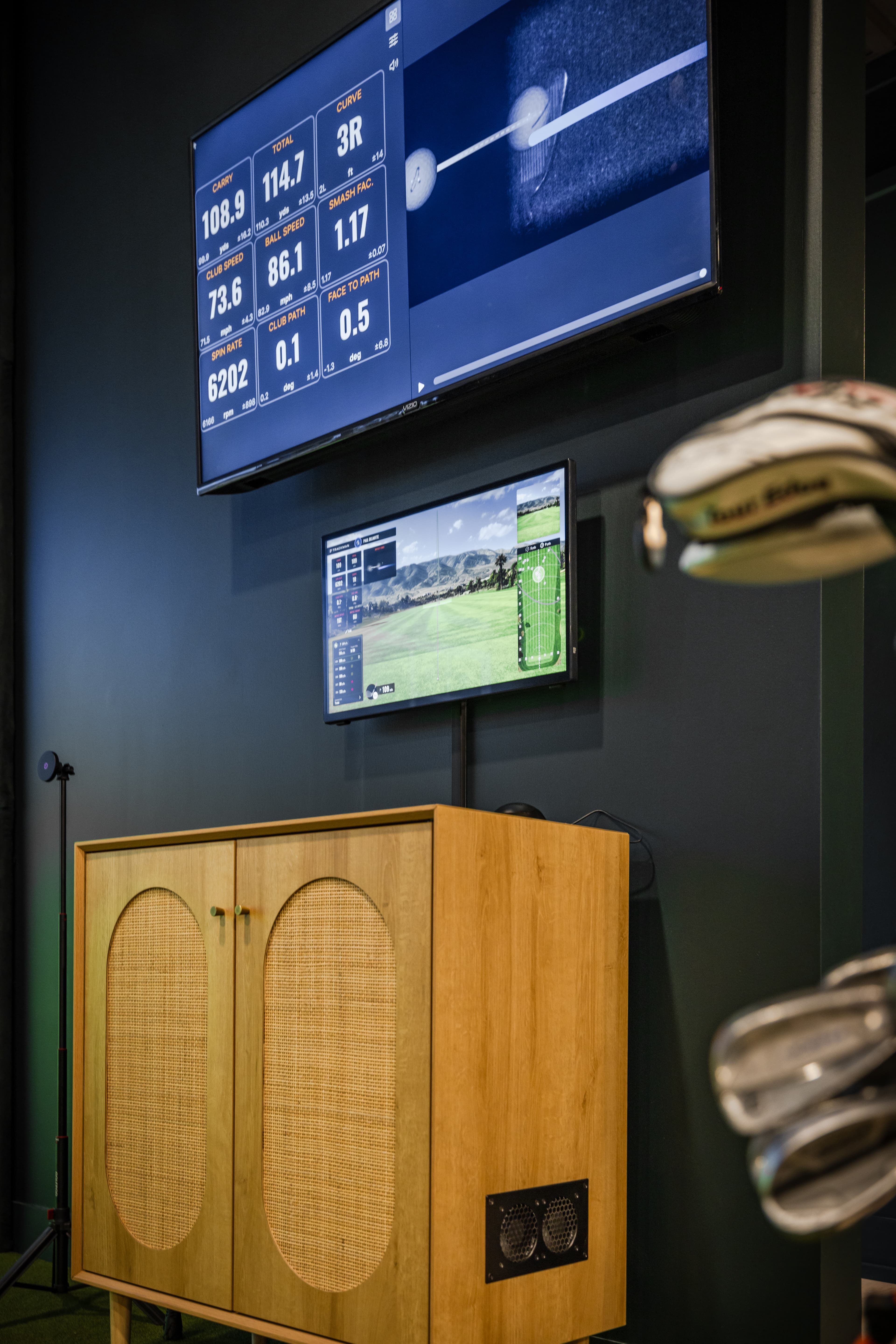 Modern Eagle - Image 5