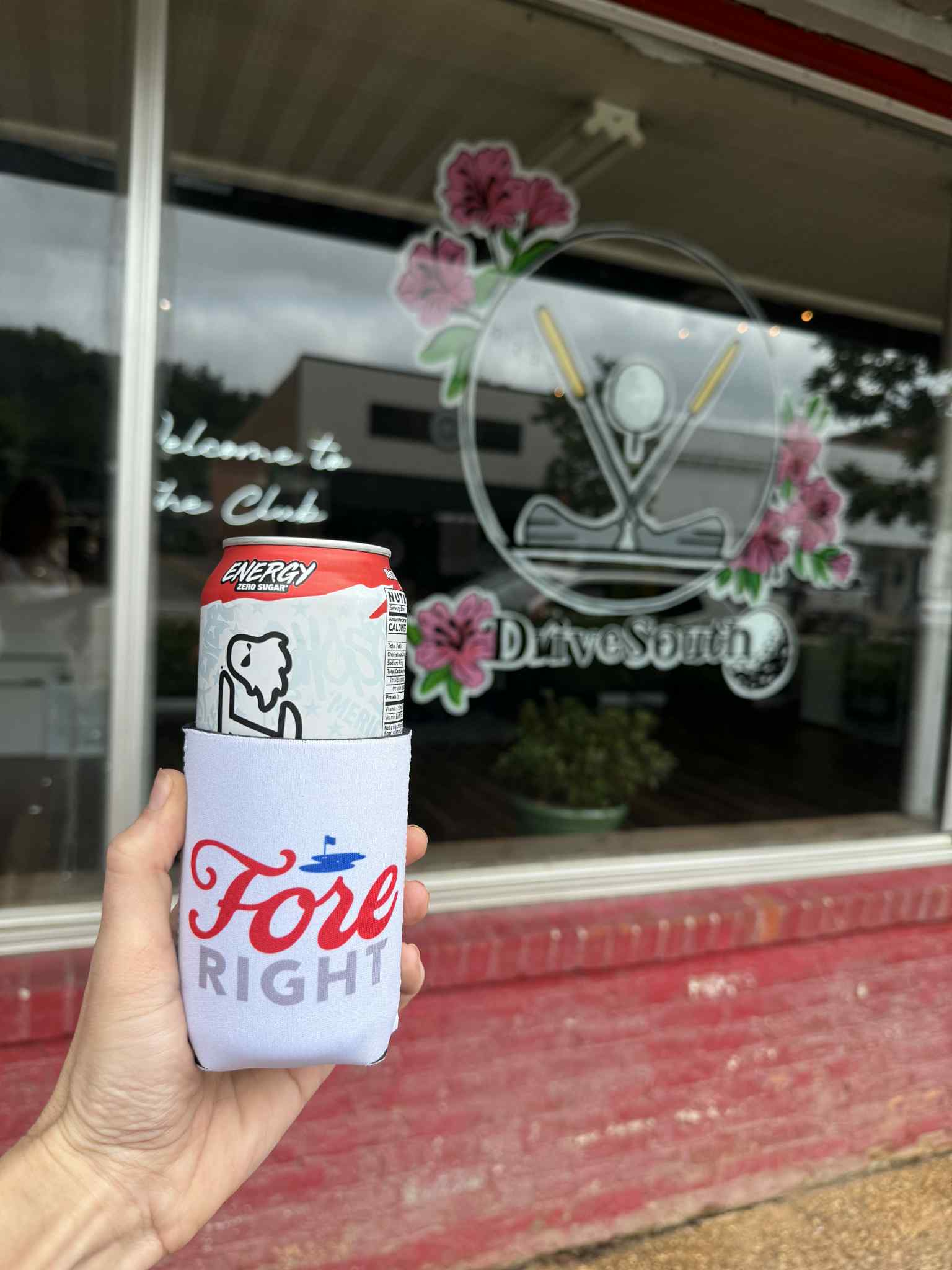 DriveSouth - Image 4