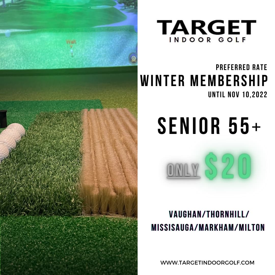 TARGET Indoor Golf - Image 4