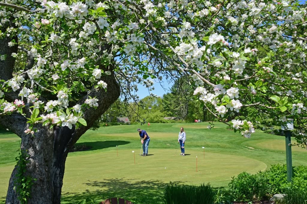 Hillcrest Golf - Image 4