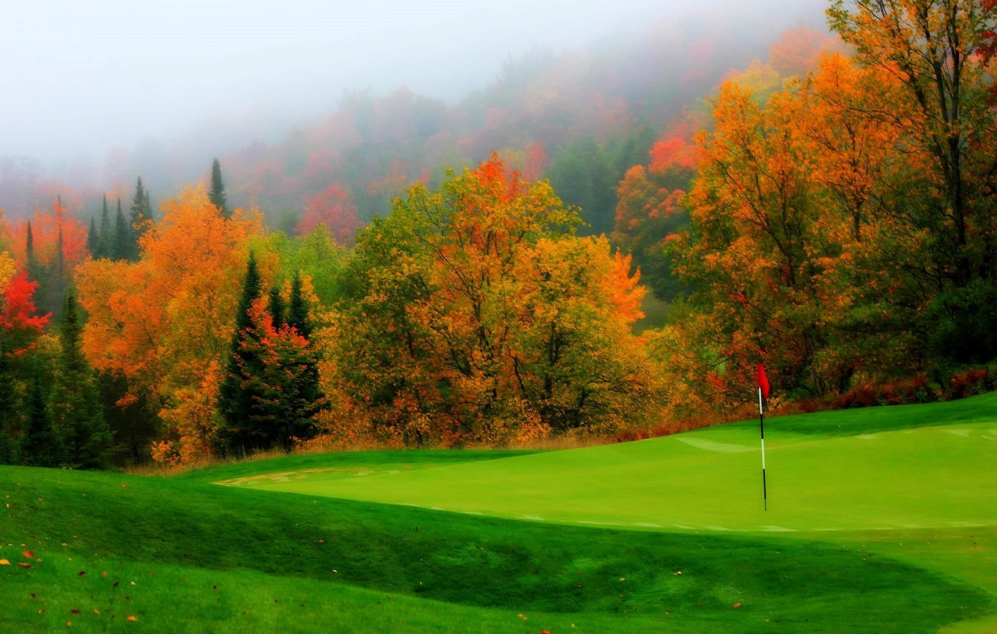 Gaylord Golf Mecca - Image 10