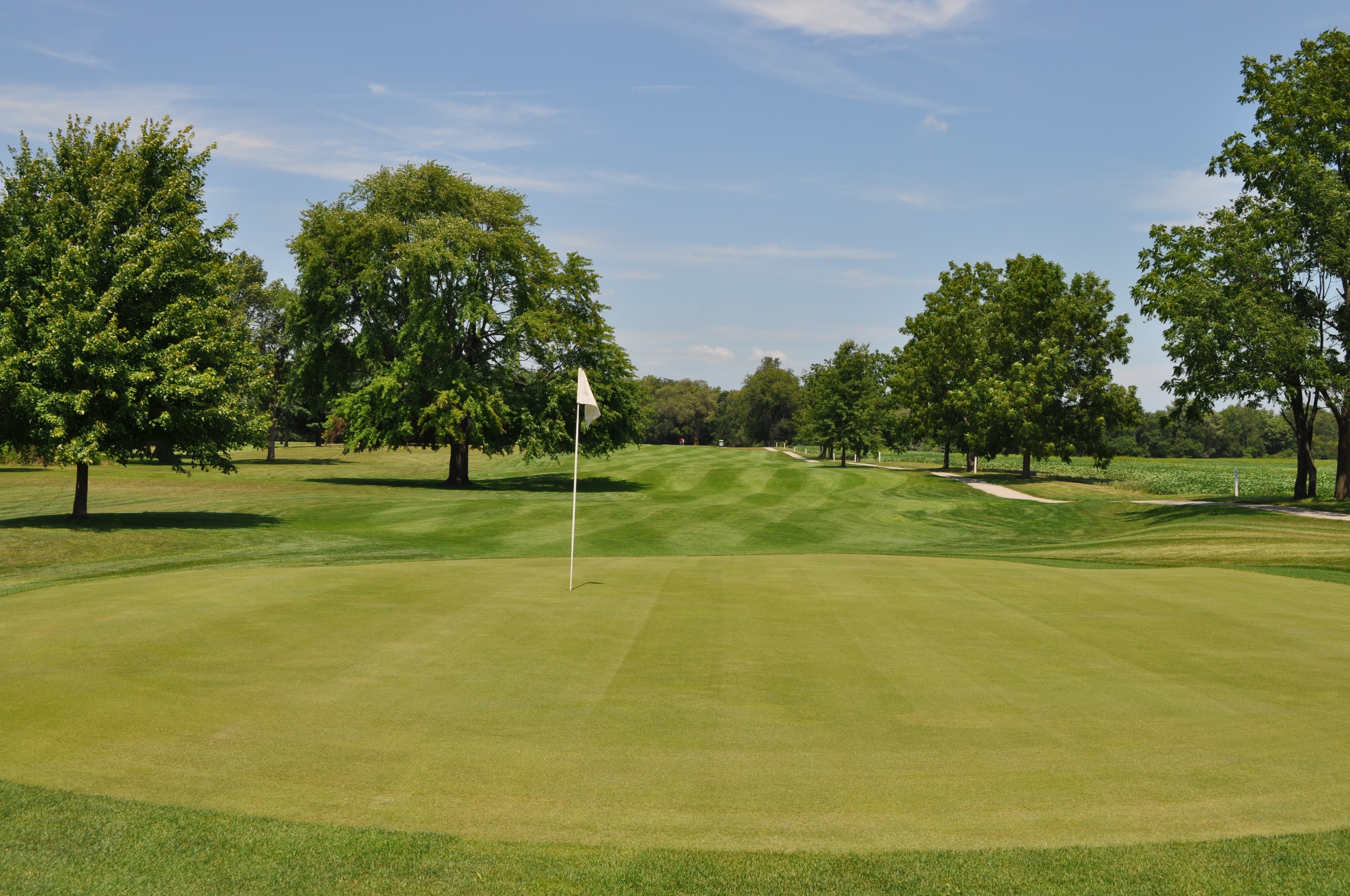 Hawk’s Tail of Greenfield - Image 1