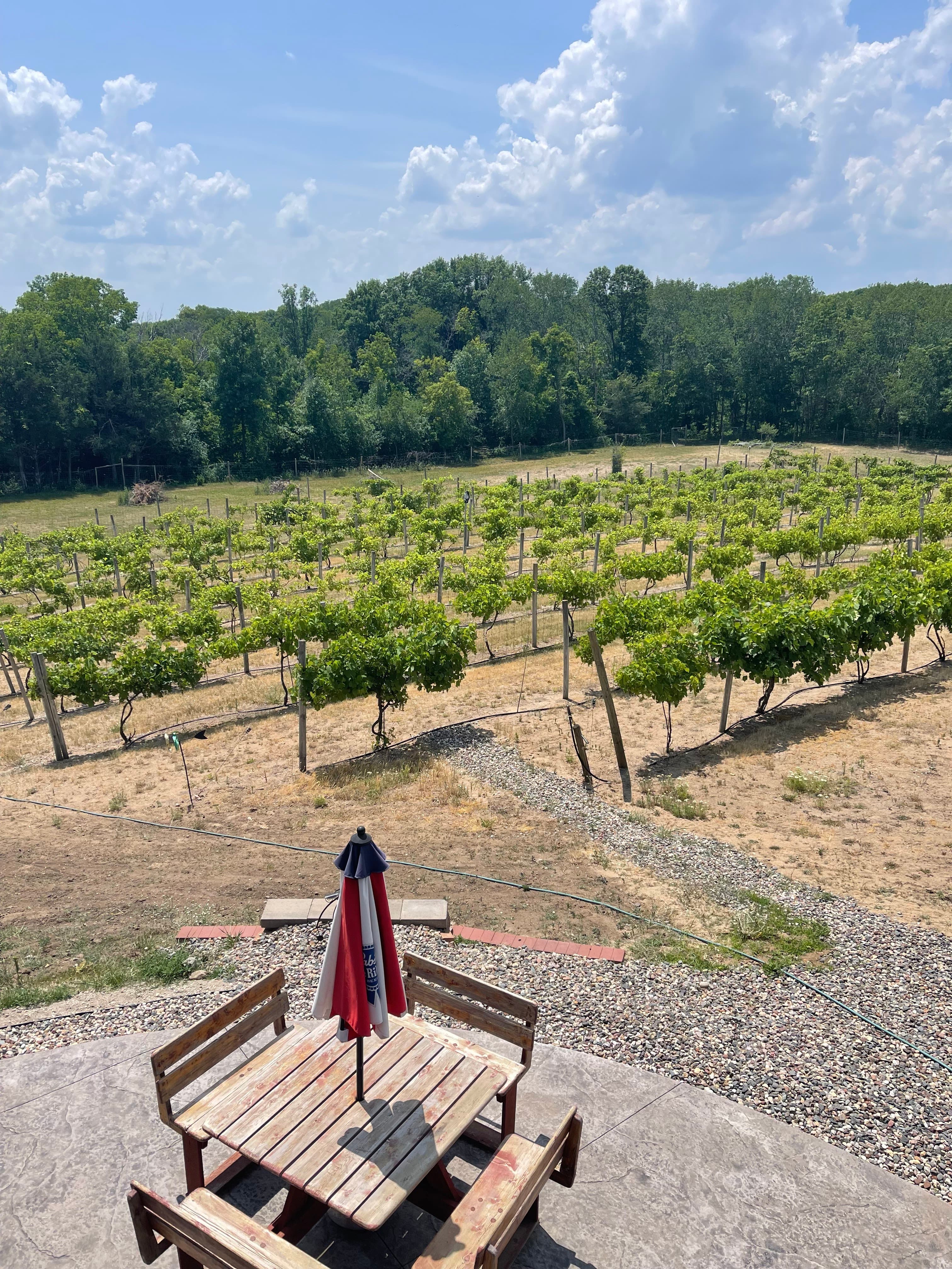 Cannahaven - Image 1