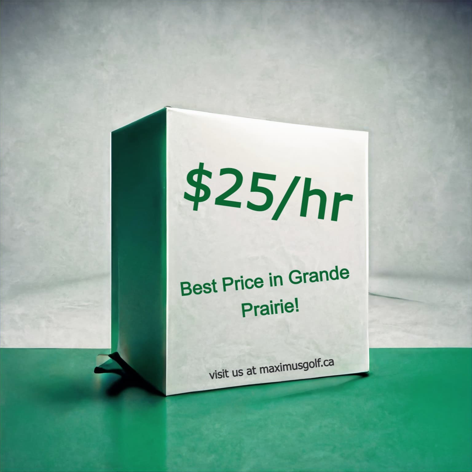 Maximus Indoor Golf - Image 4